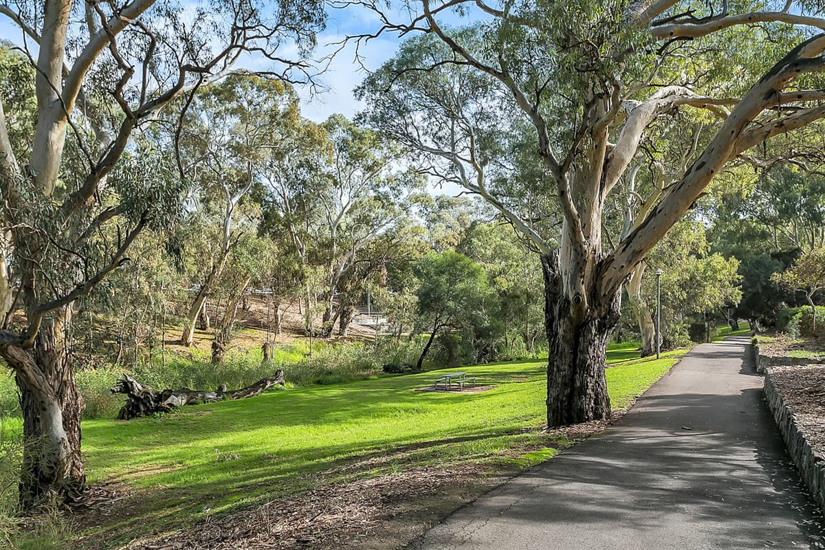 19 Brookvale Road, WINDSOR GARDENS SA 5087, Windsor Gardens - Thumbnail 4