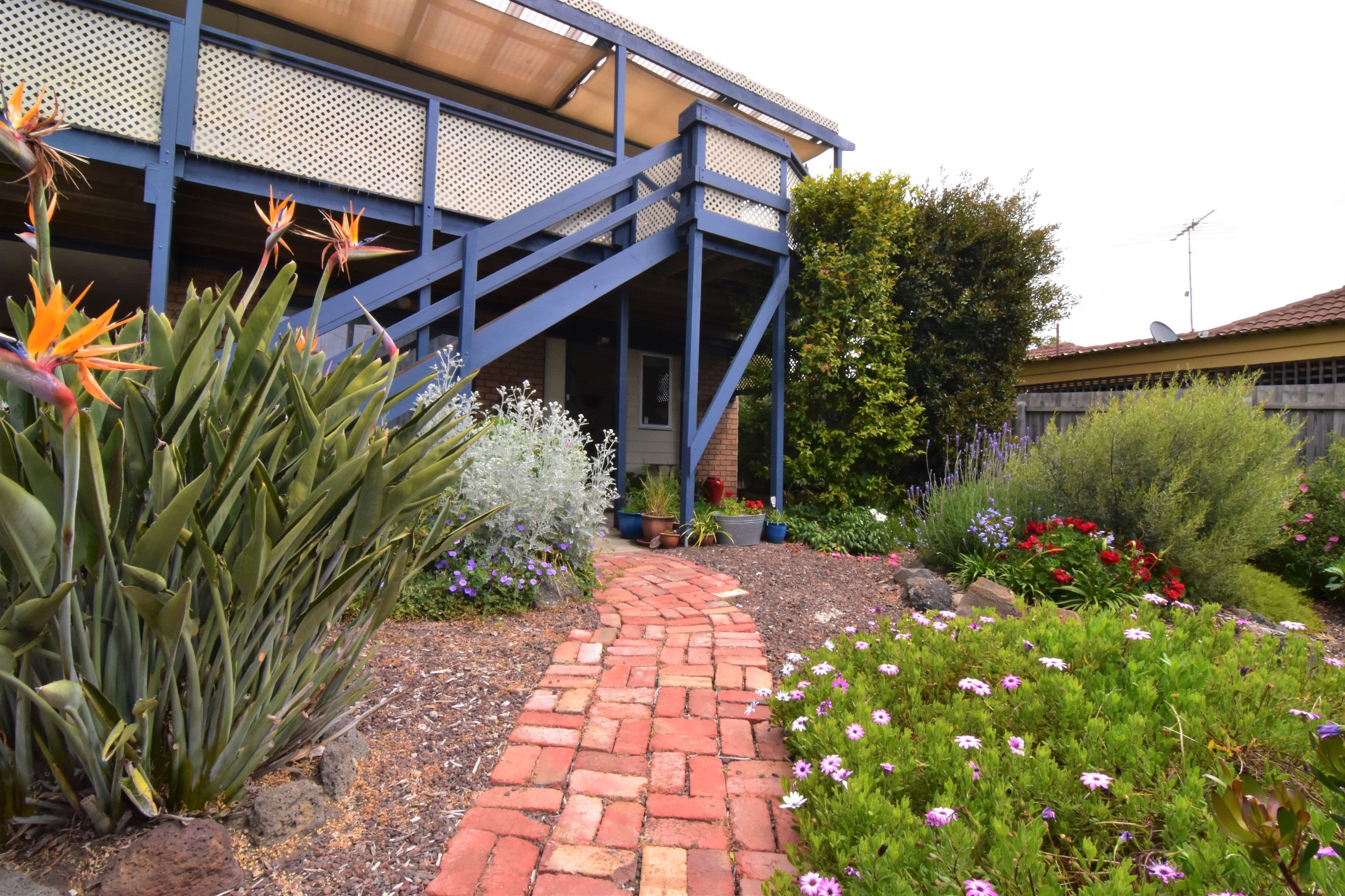 16 Maraboora Avenue, Clifton Springs VIC 3222, Clifton Springs - Thumbnail 3