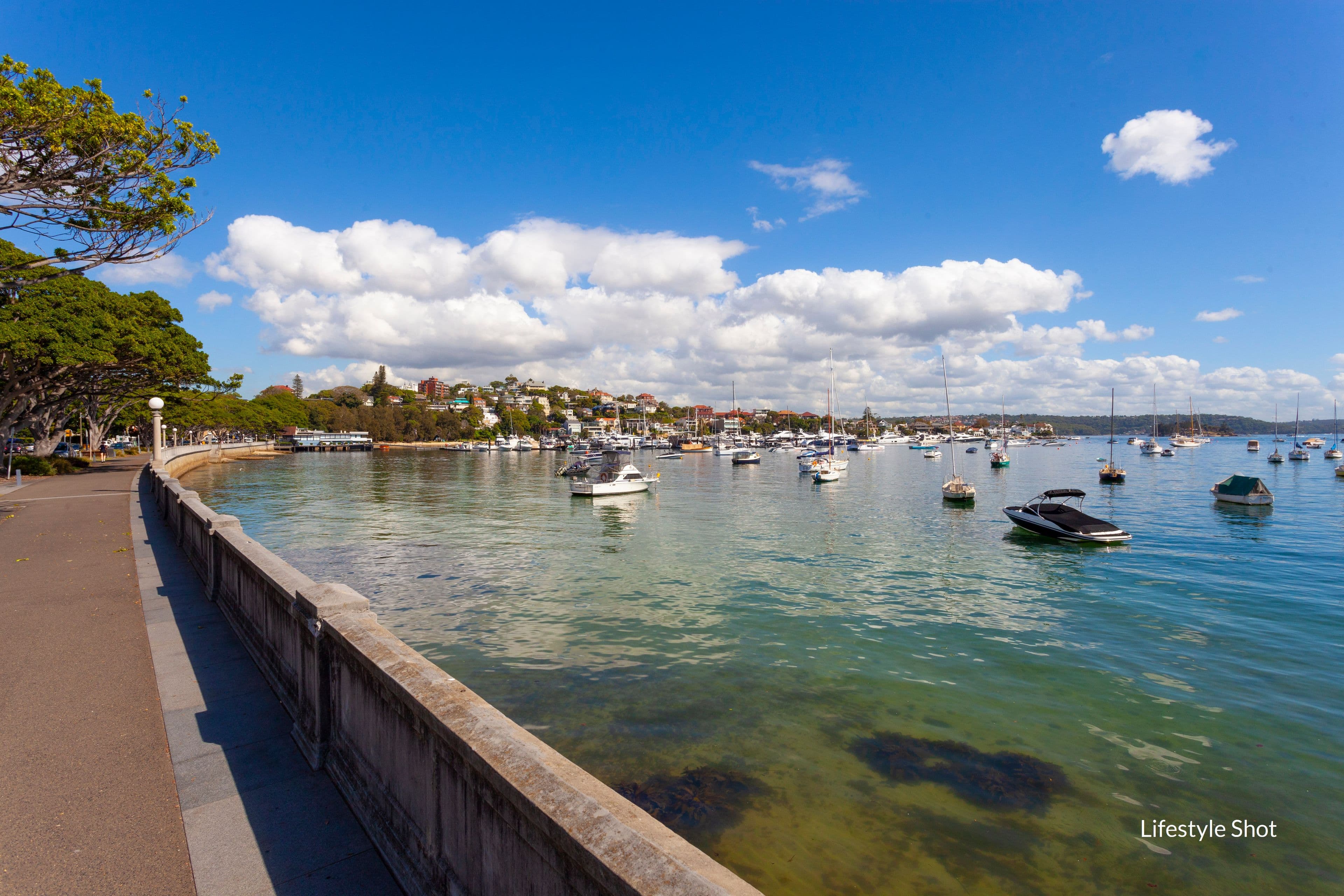 57 Carlisle Street, Rose Bay NSW 2029, Rose Bay - Thumbnail 8