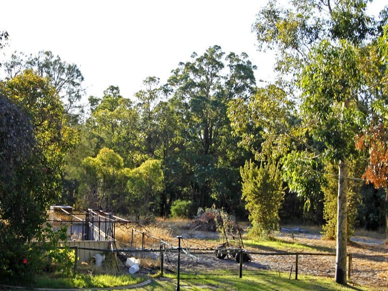 41 Nicolas Drive, CASUARINA WA 6167, Casuarina - Thumbnail 4