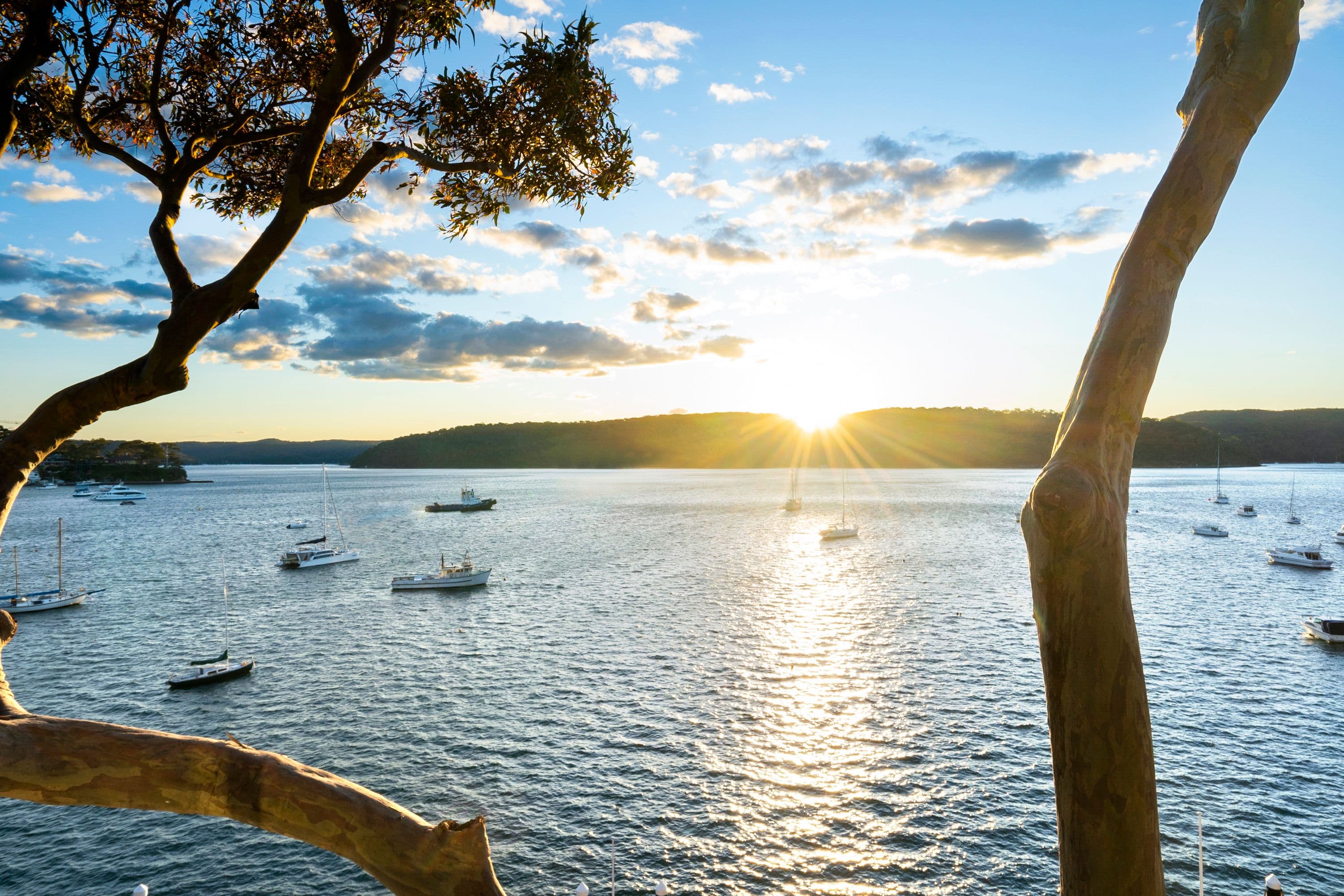 959 Barrenjoey Road, Palm Beach NSW 2108, Palm Beach - Thumbnail 3