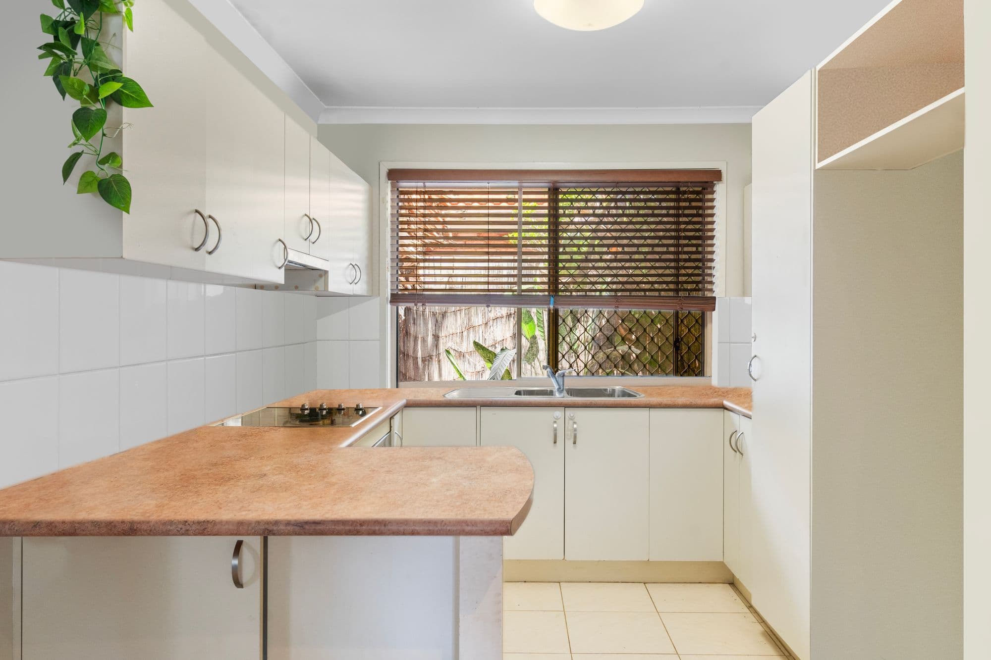 7 Cougal Close, Loganholme QLD 4129, Loganholme - Thumbnail 4
