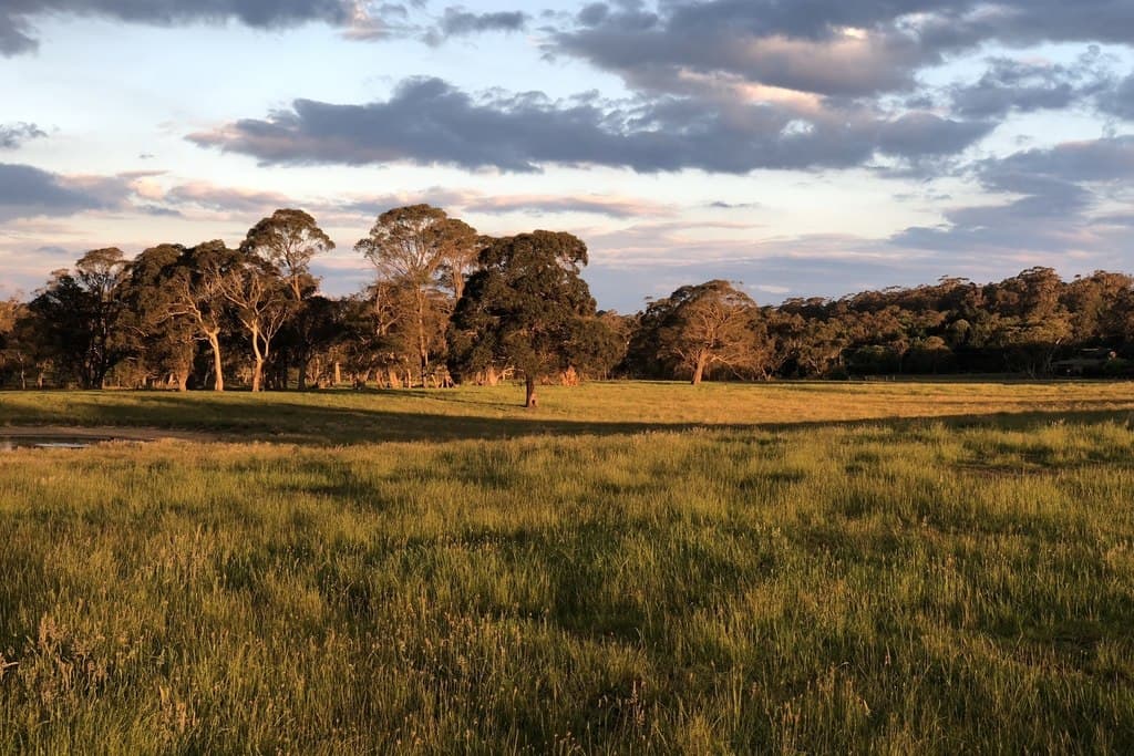 Lot 108, "The Yards Ellsmore Road, Bundanoon - Thumbnail 7