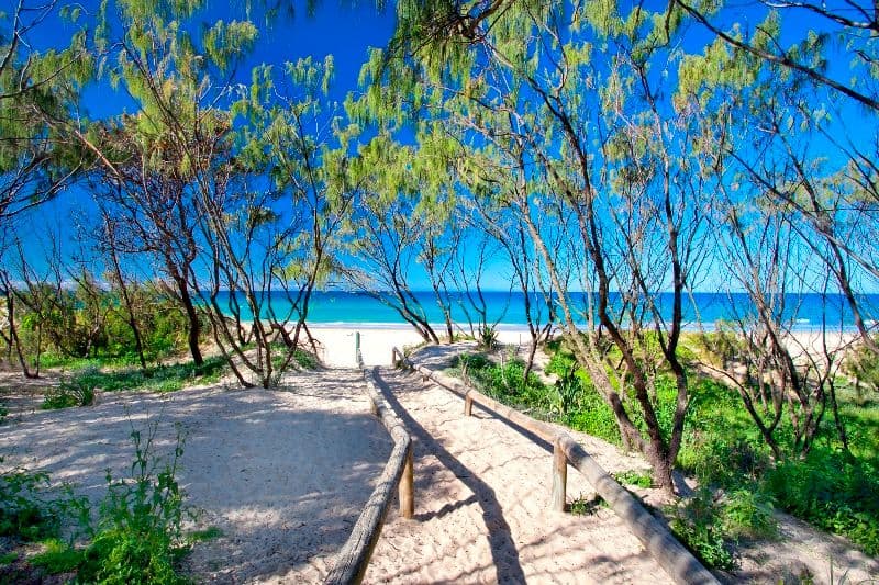 3 Calliandra Grove, PEREGIAN BEACH QLD 4573, Peregian Beach - Thumbnail 2