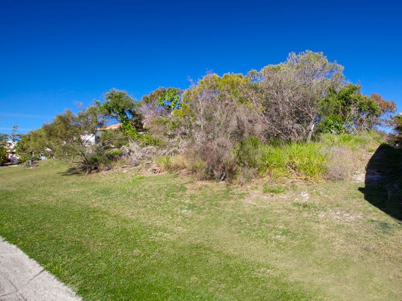 3 Calliandra Grove, PEREGIAN BEACH QLD 4573, Peregian Beach - Thumbnail 4