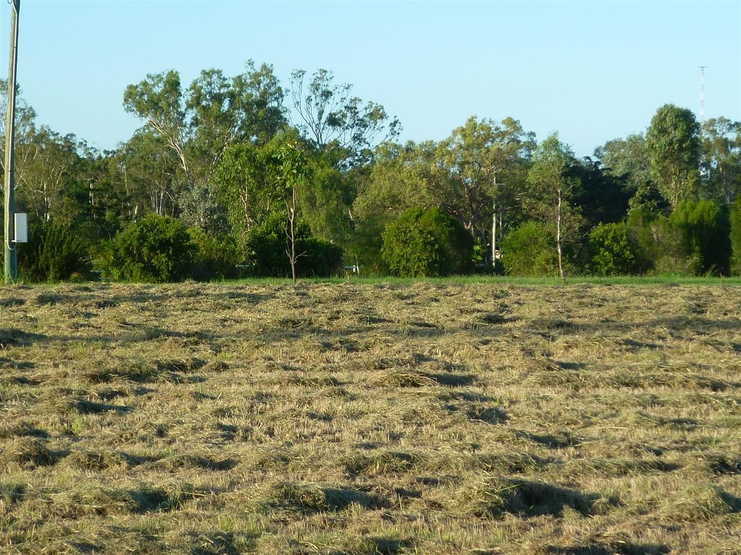 Lot 16 Huff Street, GRACEMERE QLD 4702, Gracemere - Thumbnail 3