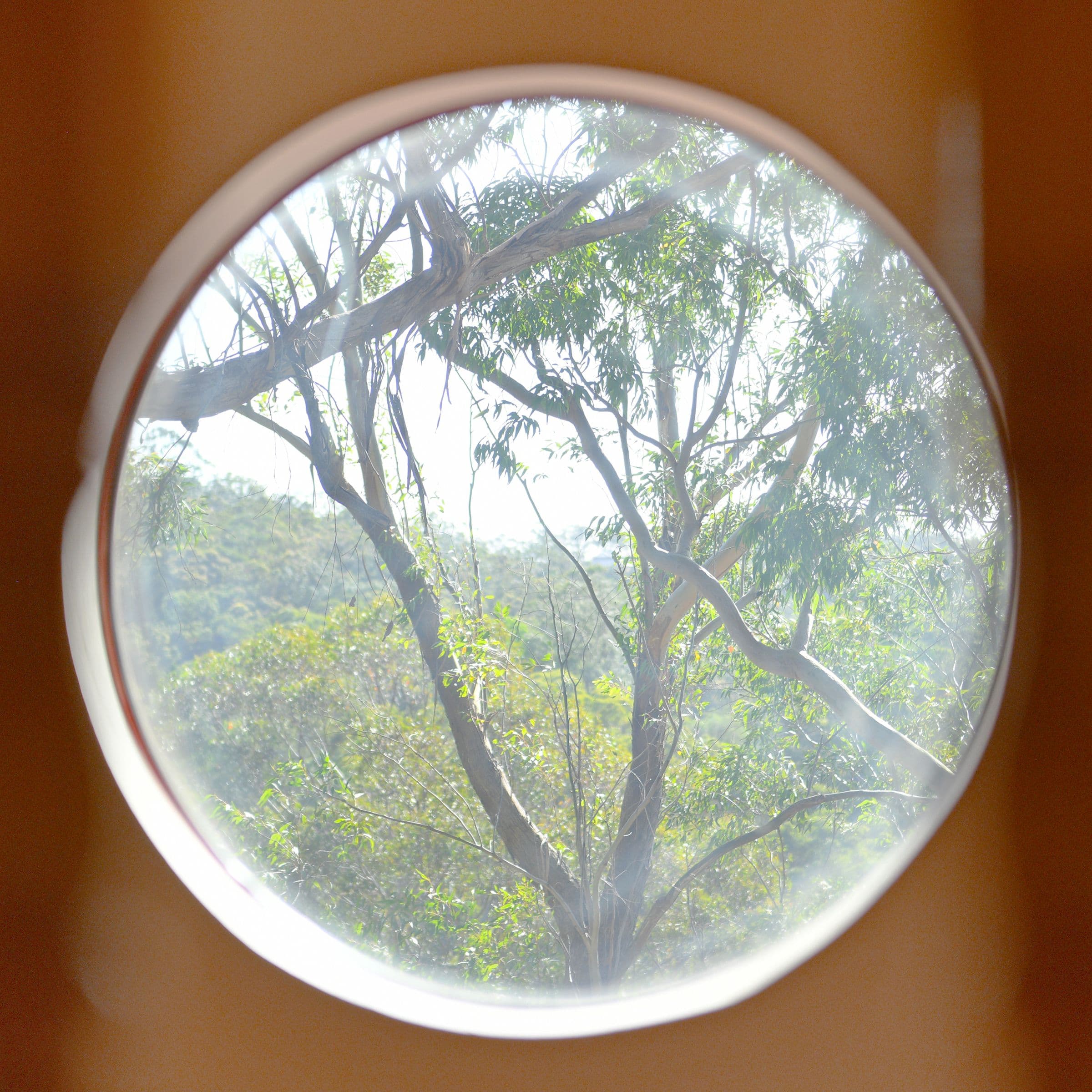 9 Brushwood Place, Hornsby NSW 2077, Hornsby - Thumbnail 8