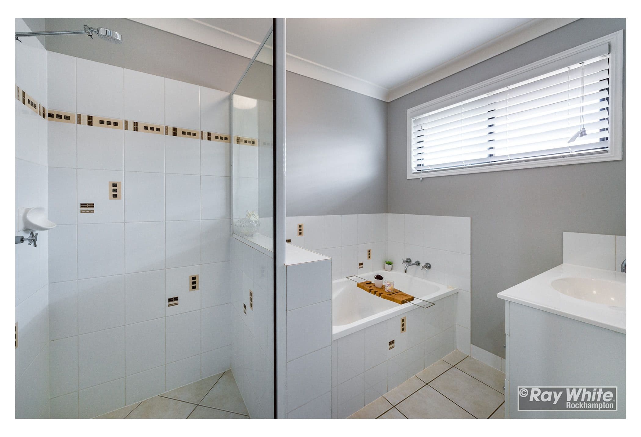 20 Riley Drive, Gracemere QLD 4702, Gracemere - Thumbnail 6