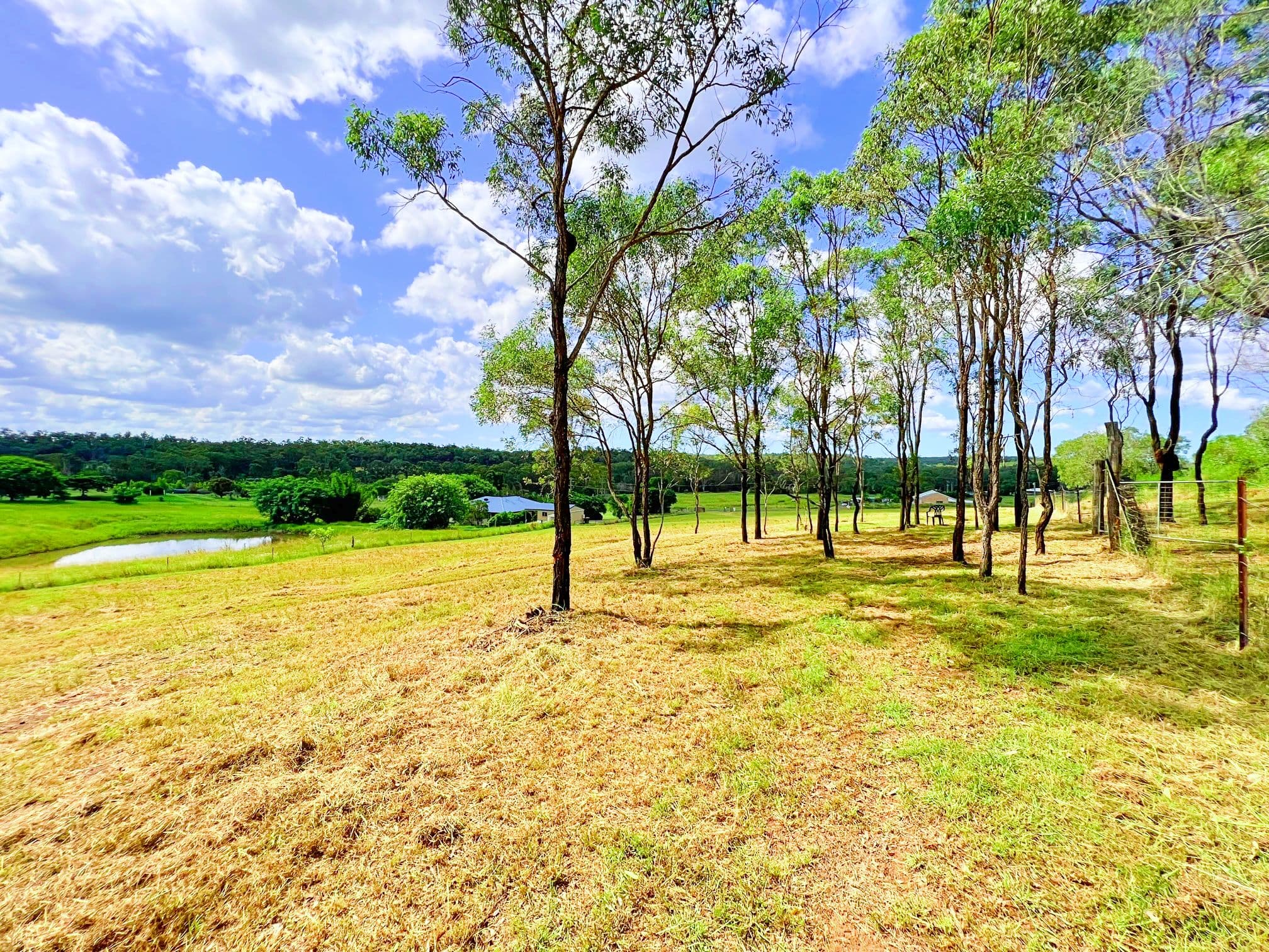 Wagon Wheel Court, Maroondan QLD 4671, Maroondan - Thumbnail 7