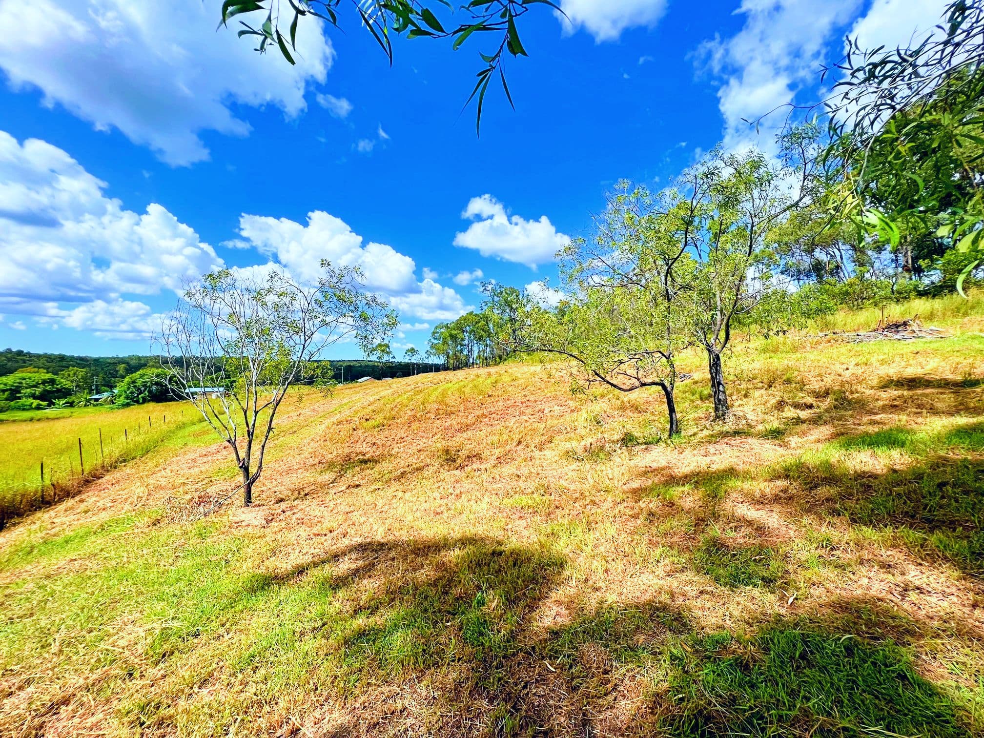 Wagon Wheel Court, Maroondan QLD 4671, Maroondan - Thumbnail 8