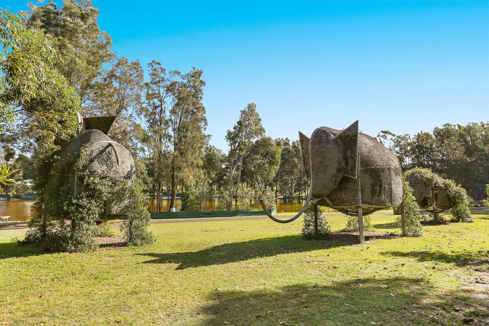 Botany NSW 2019, Botany - Thumbnail 7
