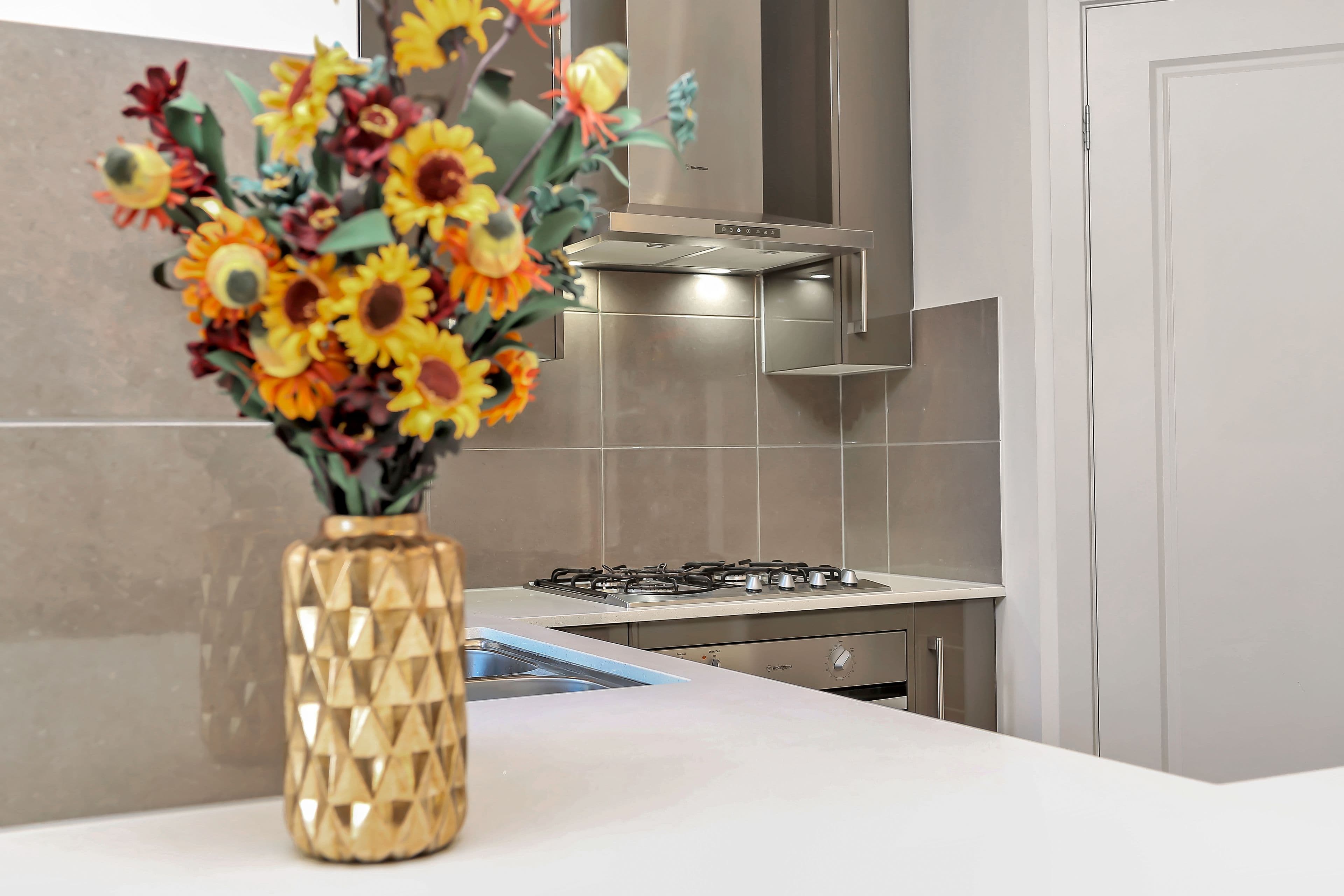19 Kelmscott Street, Oaklands Park SA 5046, Oaklands Park - Thumbnail 3