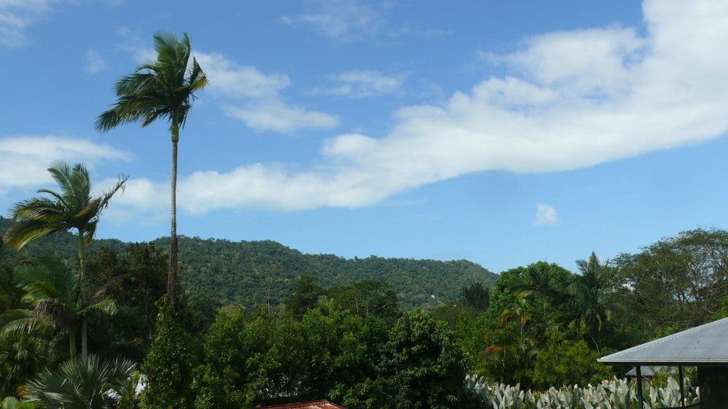 18 Hodel Street, Whitfield QLD 4870, Whitfield - Thumbnail 7