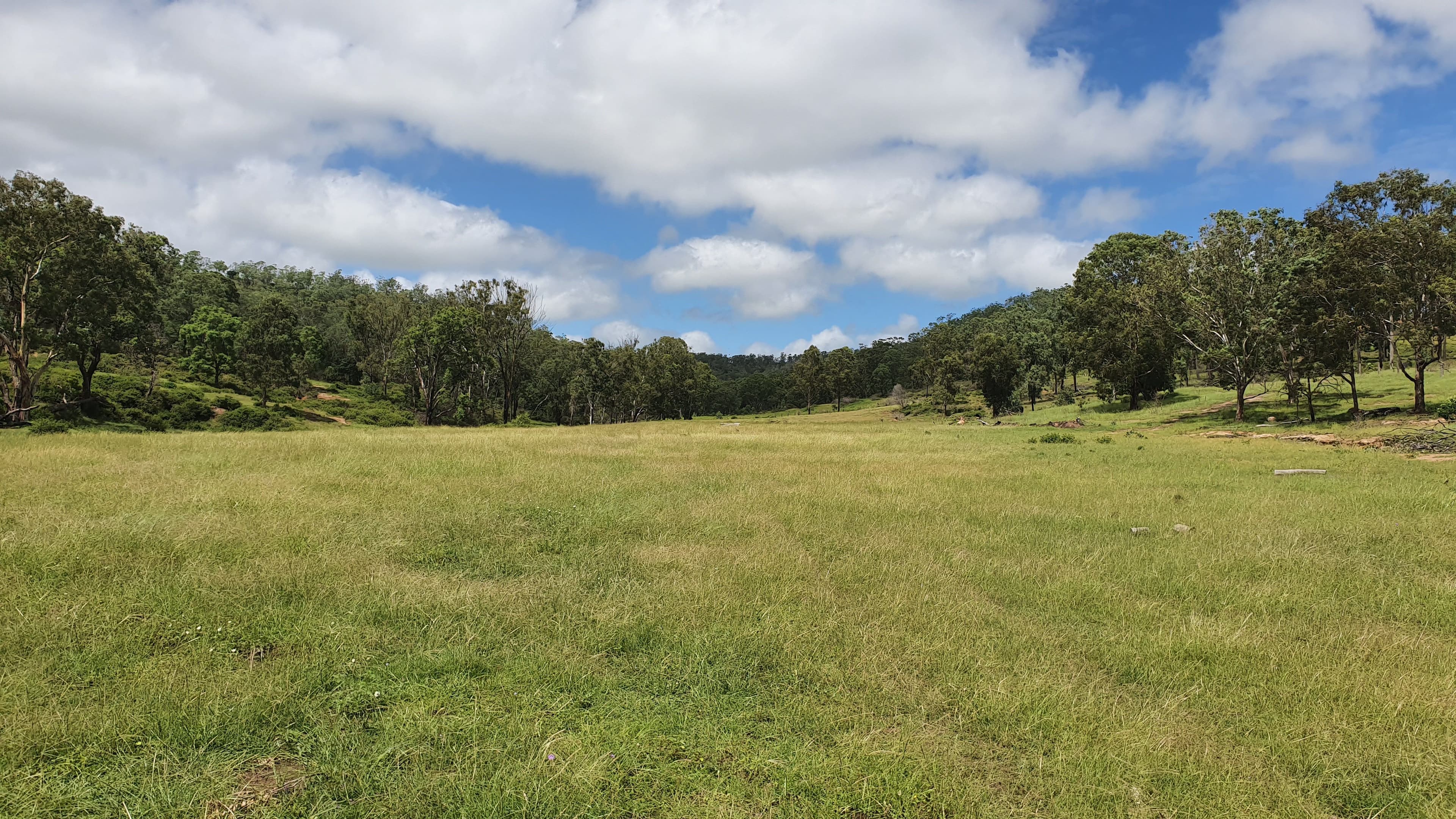 40 Muller Road, Thornville QLD 4352, Thornville - Image 1