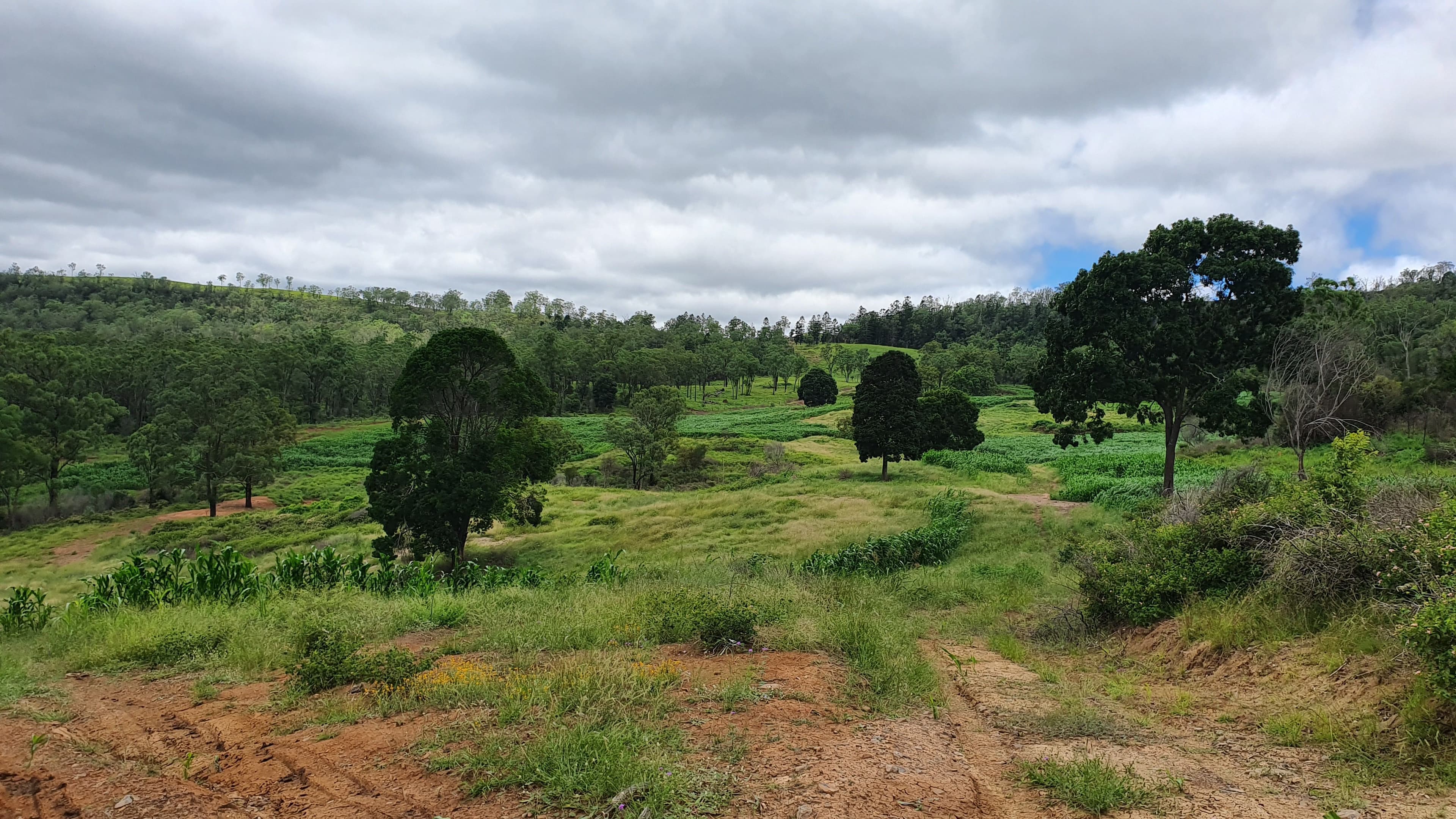 40 Muller Road, Thornville QLD 4352, Thornville - Thumbnail 3