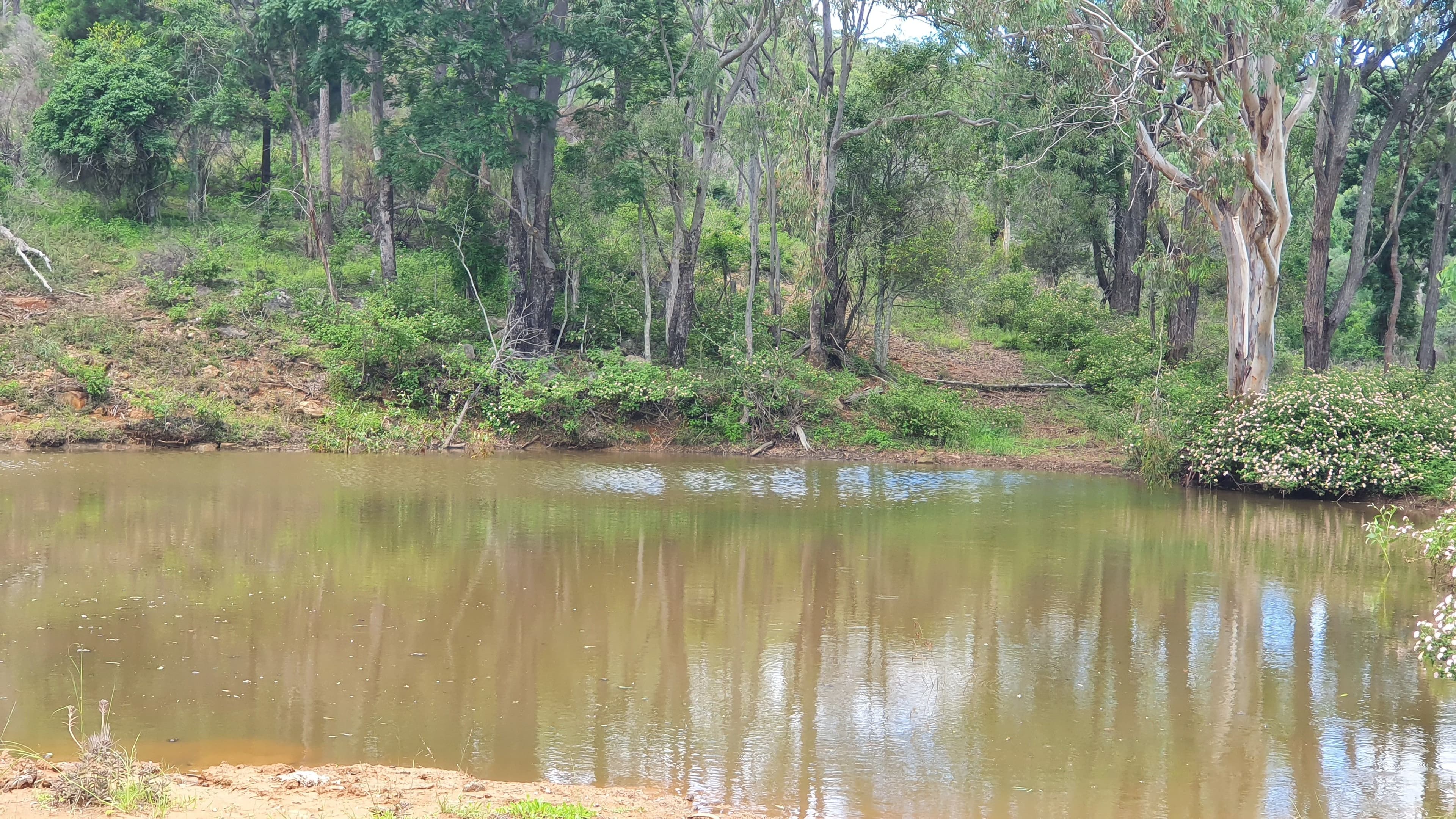 40 Muller Road, Thornville QLD 4352, Thornville - Thumbnail 4