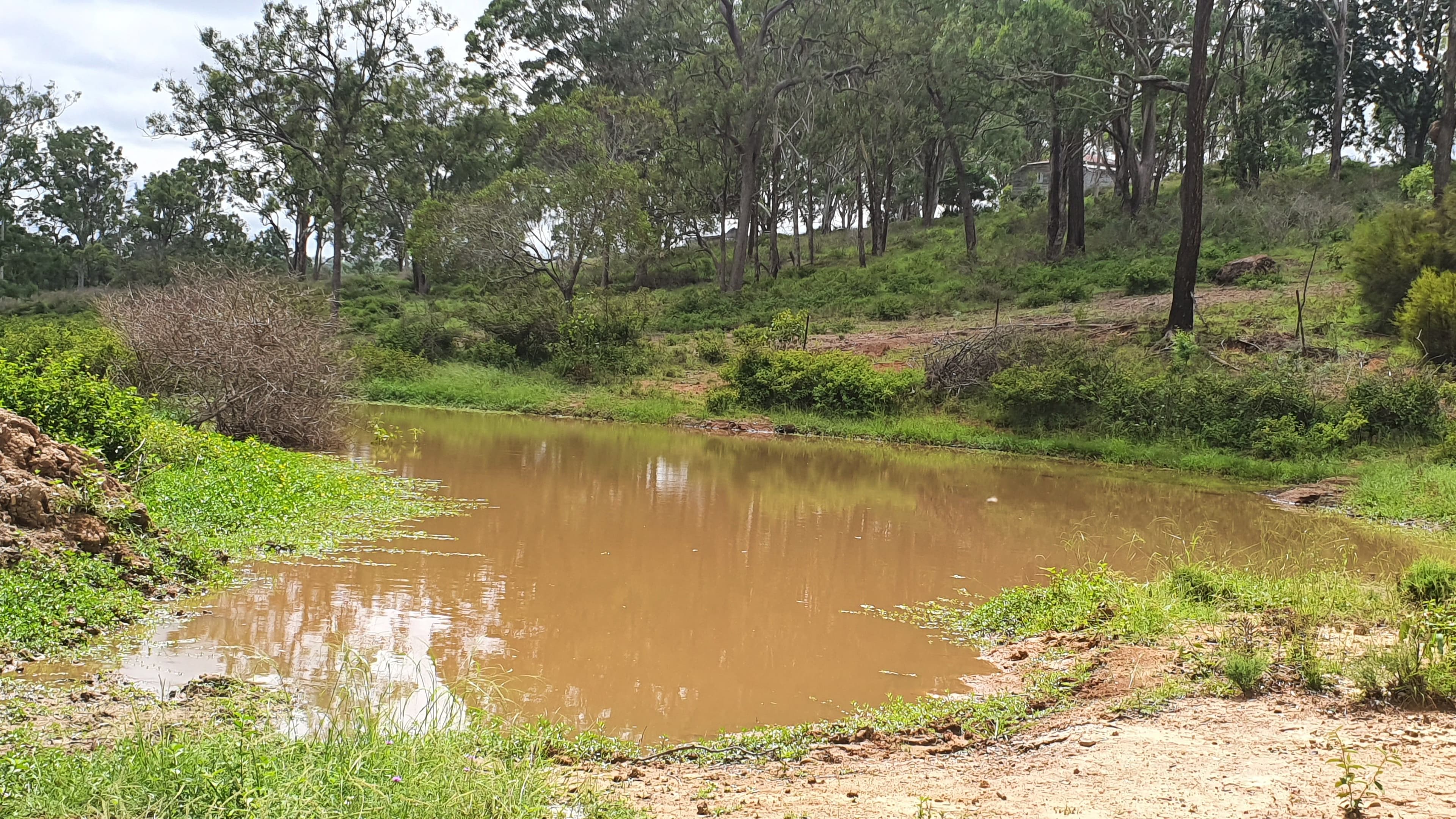 40 Muller Road, Thornville QLD 4352, Thornville - Thumbnail 6