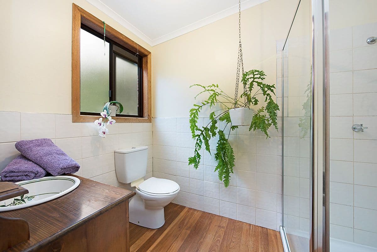 261 Harper Creek Road, Conondale QLD 4552, Conondale - Thumbnail 8