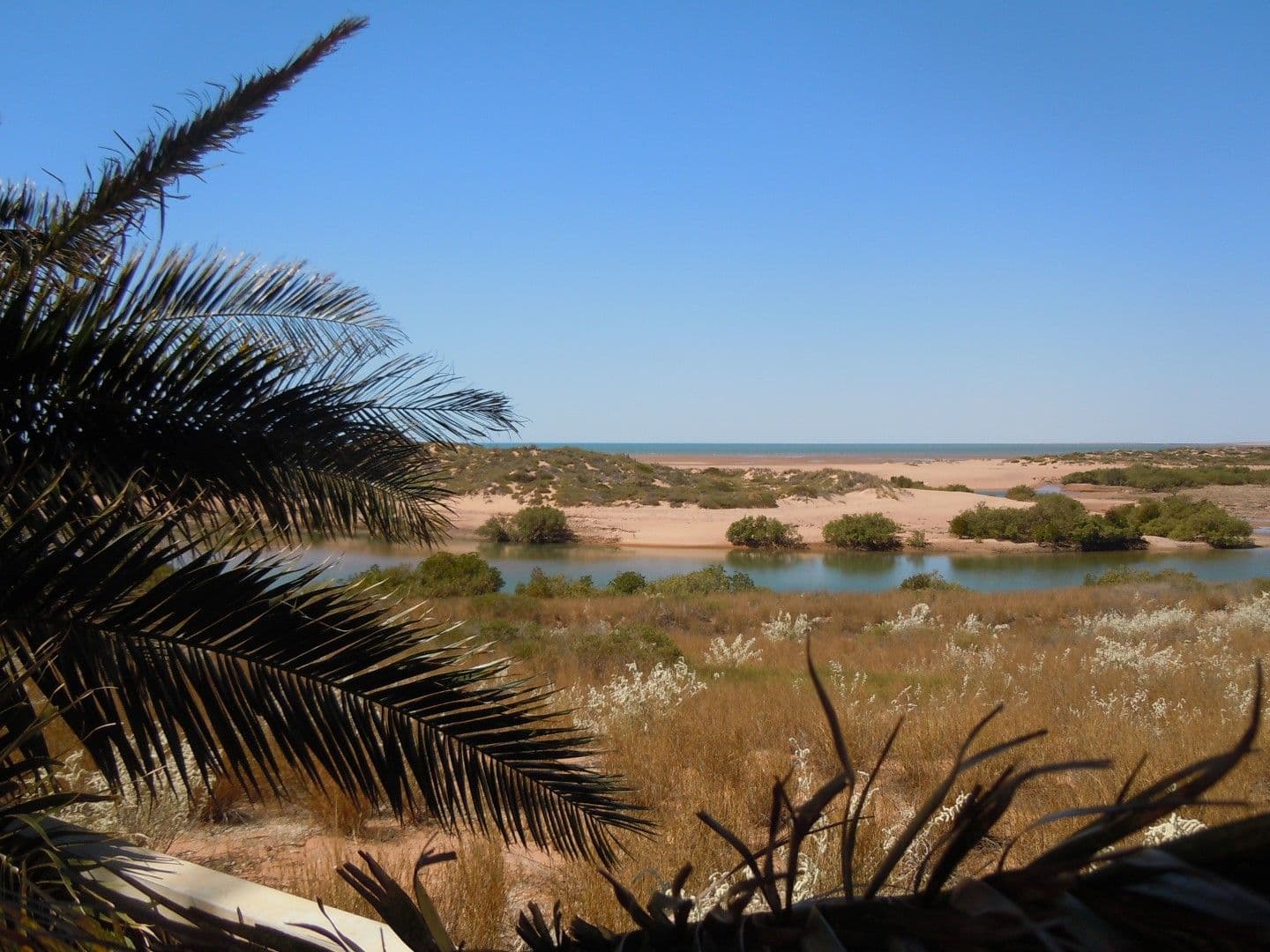 15 Matheson, Port Hedland WA 6721, Port Hedland - Thumbnail 7