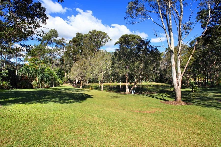 37 Redwood Road, Doonan QLD 4562, Doonan - Thumbnail 3