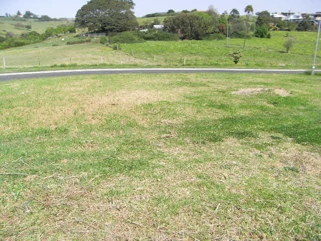 18 Cole Street, KIAMA NSW 2533, Kiama - Thumbnail 5