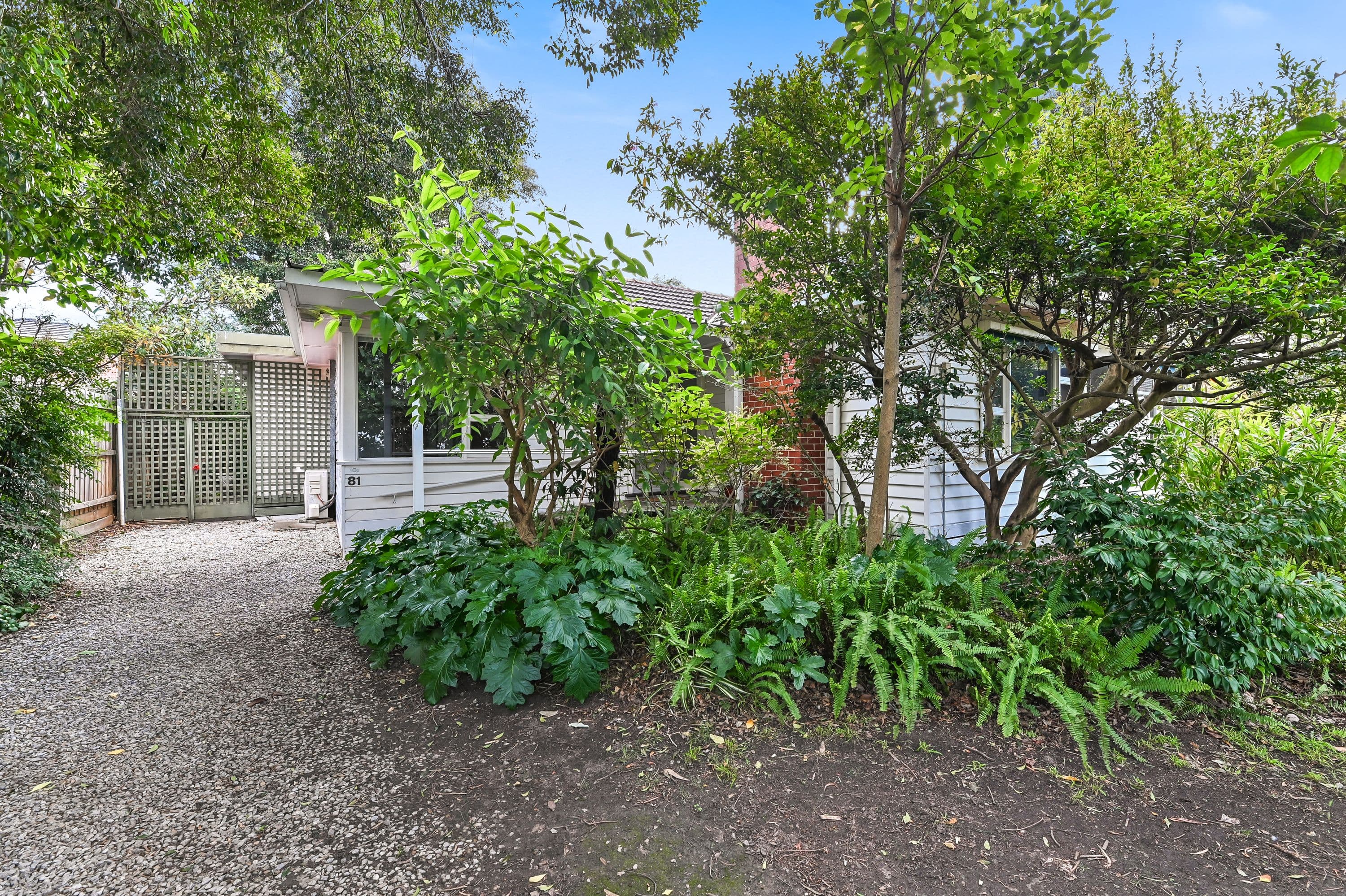 81 Hilton Street, Mount Waverley VIC 3149, Mount Waverley - Thumbnail 4