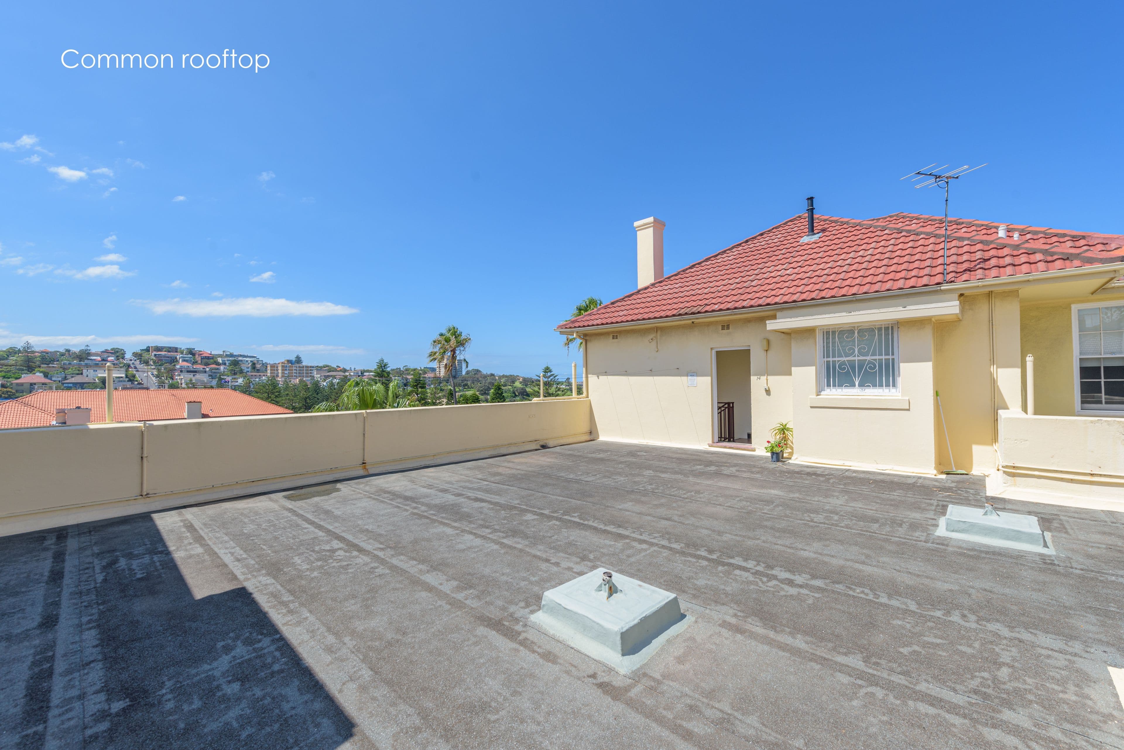 230 Arden Street, Coogee NSW 2034, Coogee - Thumbnail 6