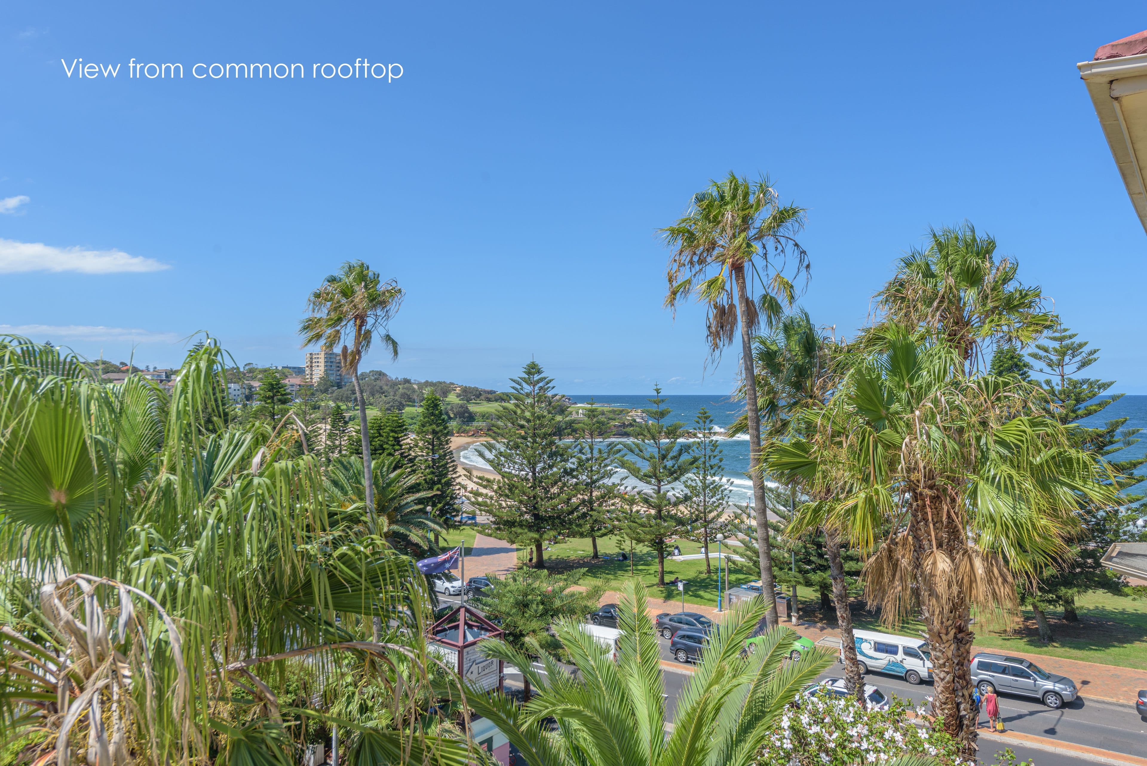 230 Arden Street, Coogee NSW 2034, Coogee - Thumbnail 7