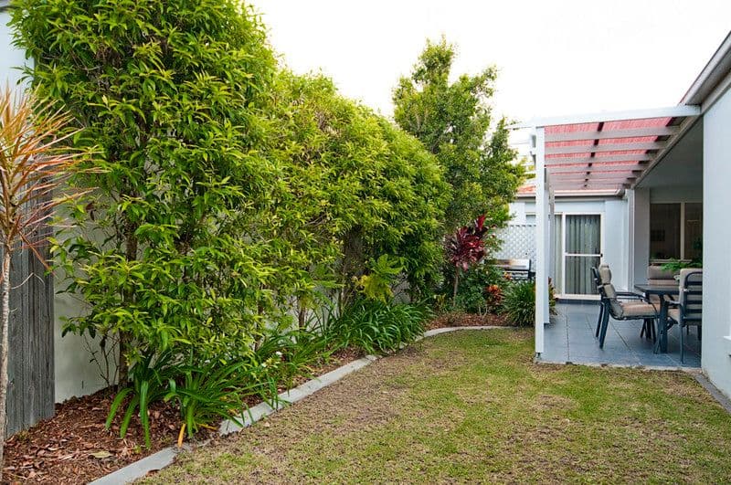 5 Chanell Close, COOMBABAH QLD 4216, Coombabah - Thumbnail 2