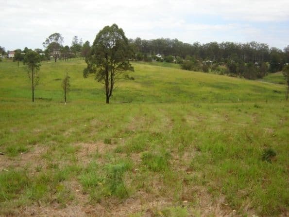 Lot 21 Eungai Creek Road, EUNGAI CREEK NSW 2441, Eungai Creek - Thumbnail 2