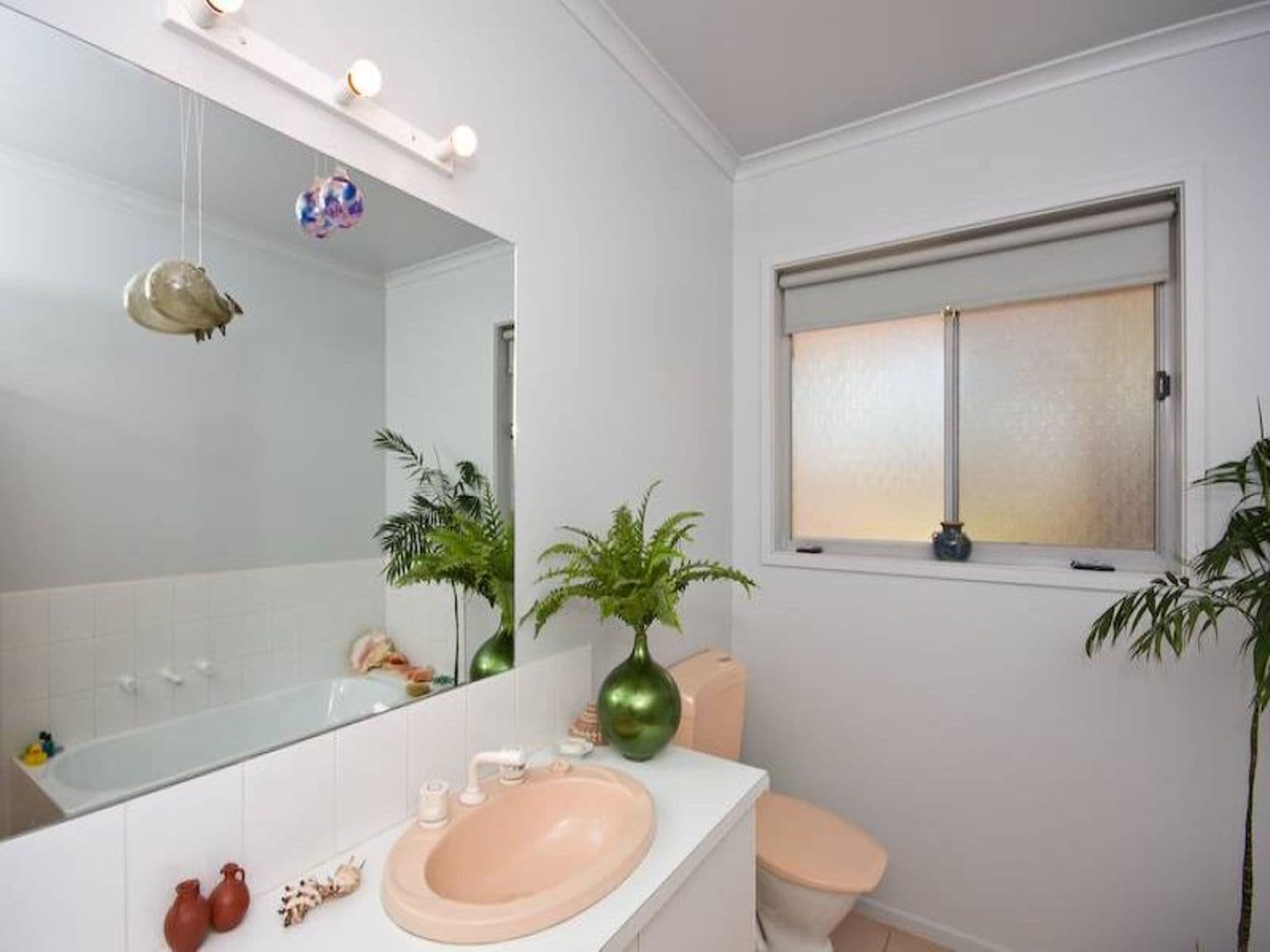 43 Cooke Street, Nichols Point - Thumbnail 5