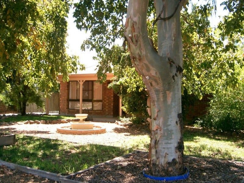 100 Pfingst Street, GOONDIWINDI QLD 4390, Goondiwindi - Image 1