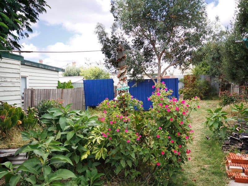 11 Candover Street, GEELONG WEST VIC 3218, Geelong West - Thumbnail 4