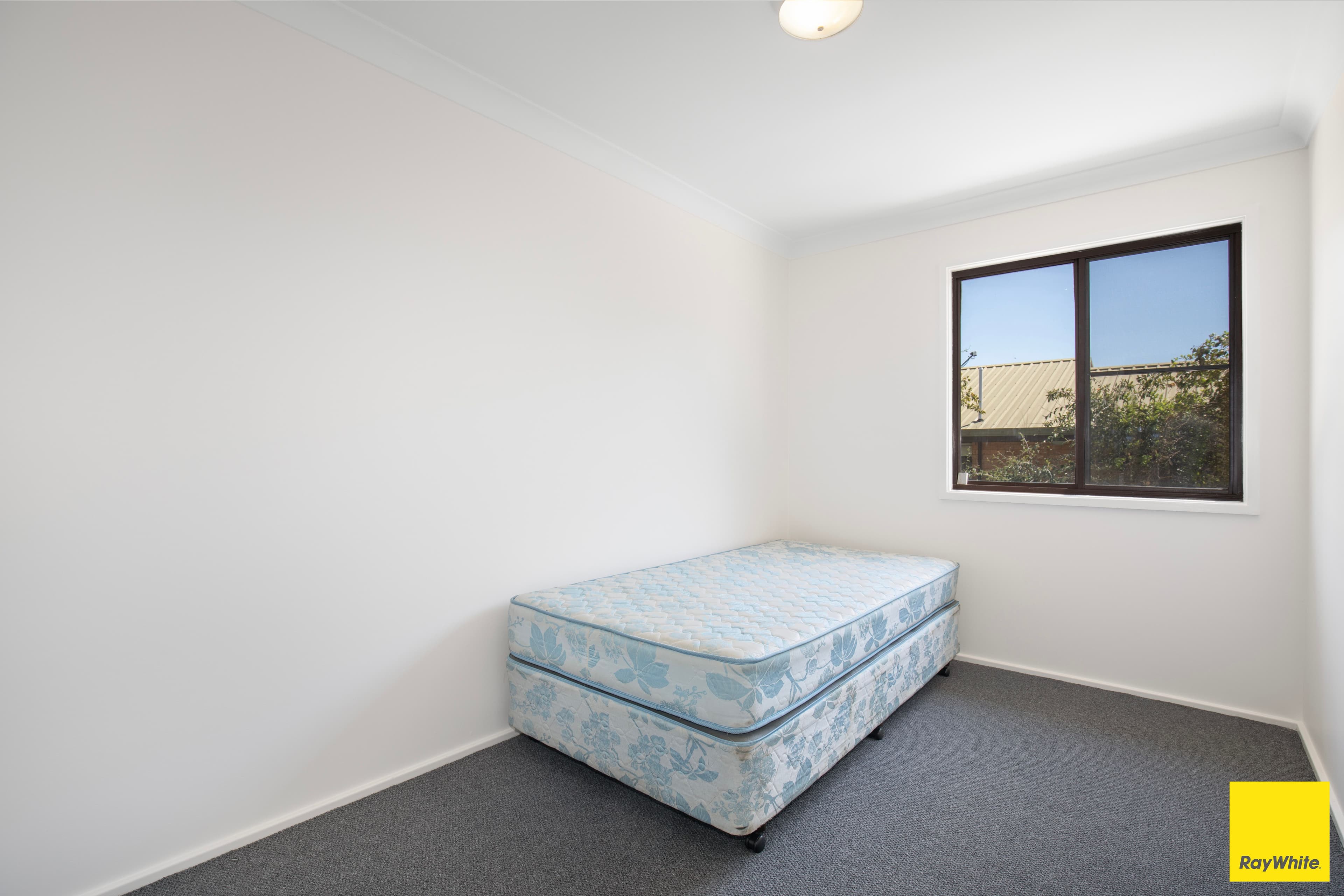 20 Trim Street, Armidale NSW 2350, Armidale - Thumbnail 8
