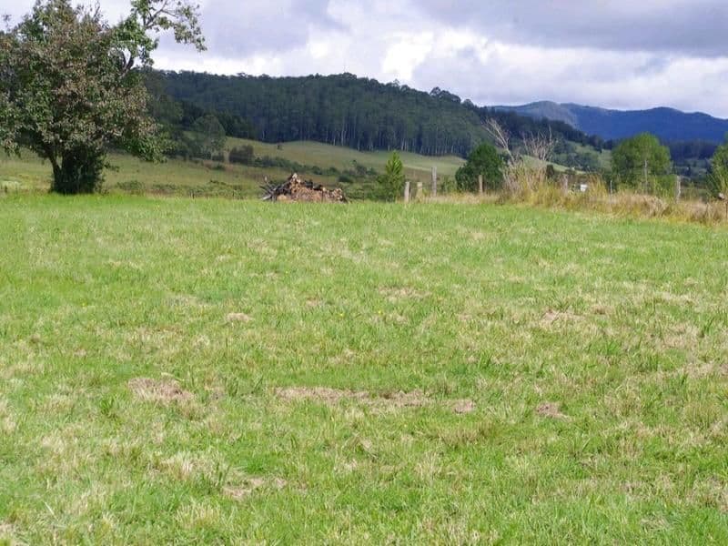 Lot 2 Cavanagh Road, Lowanna NSW 2450, Lowanna - Thumbnail 5