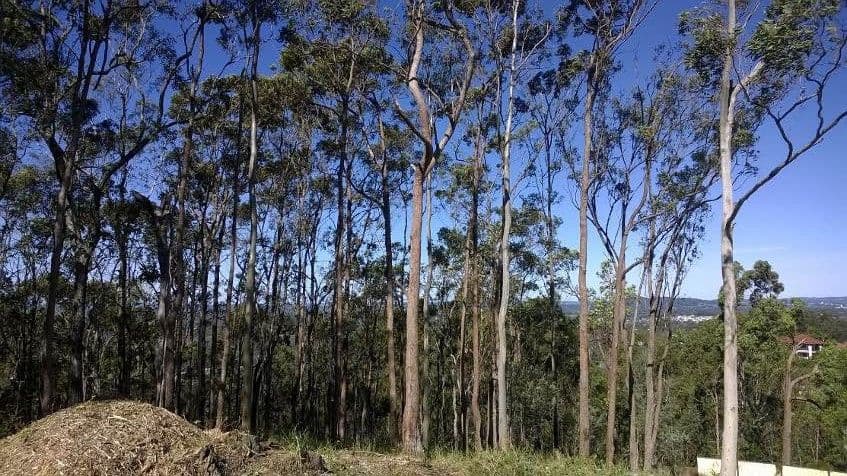 127-129 Roderick Street, Cornubia QLD 4130, Cornubia - Thumbnail 3