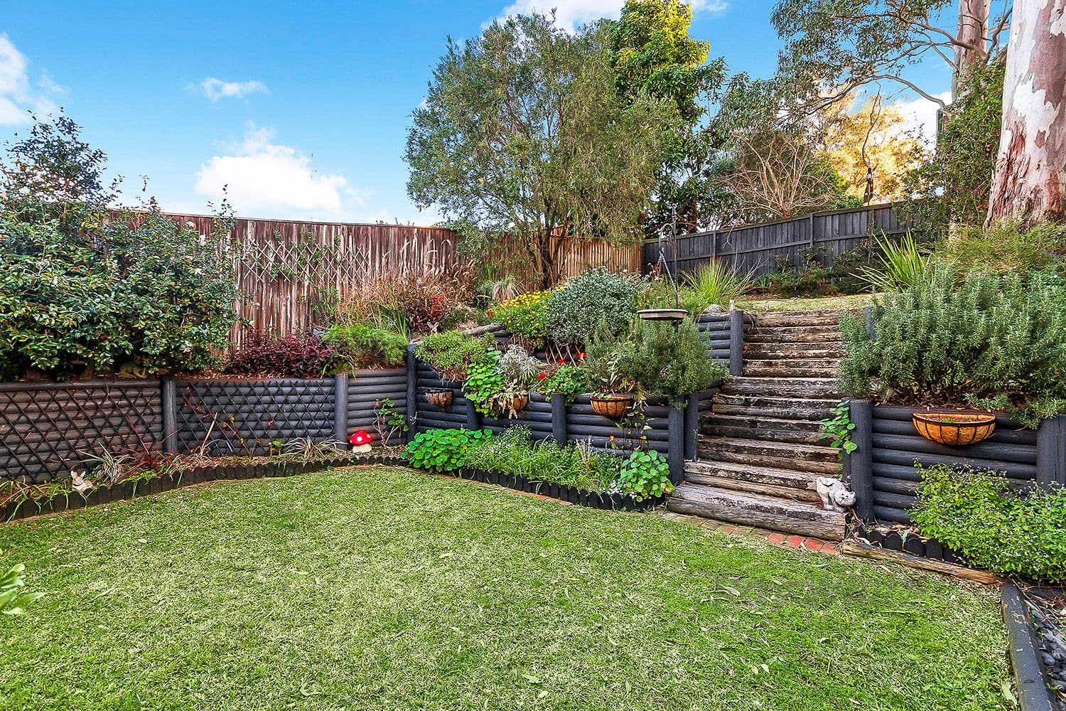 46 Kings Road, Castle Hill - Thumbnail 8