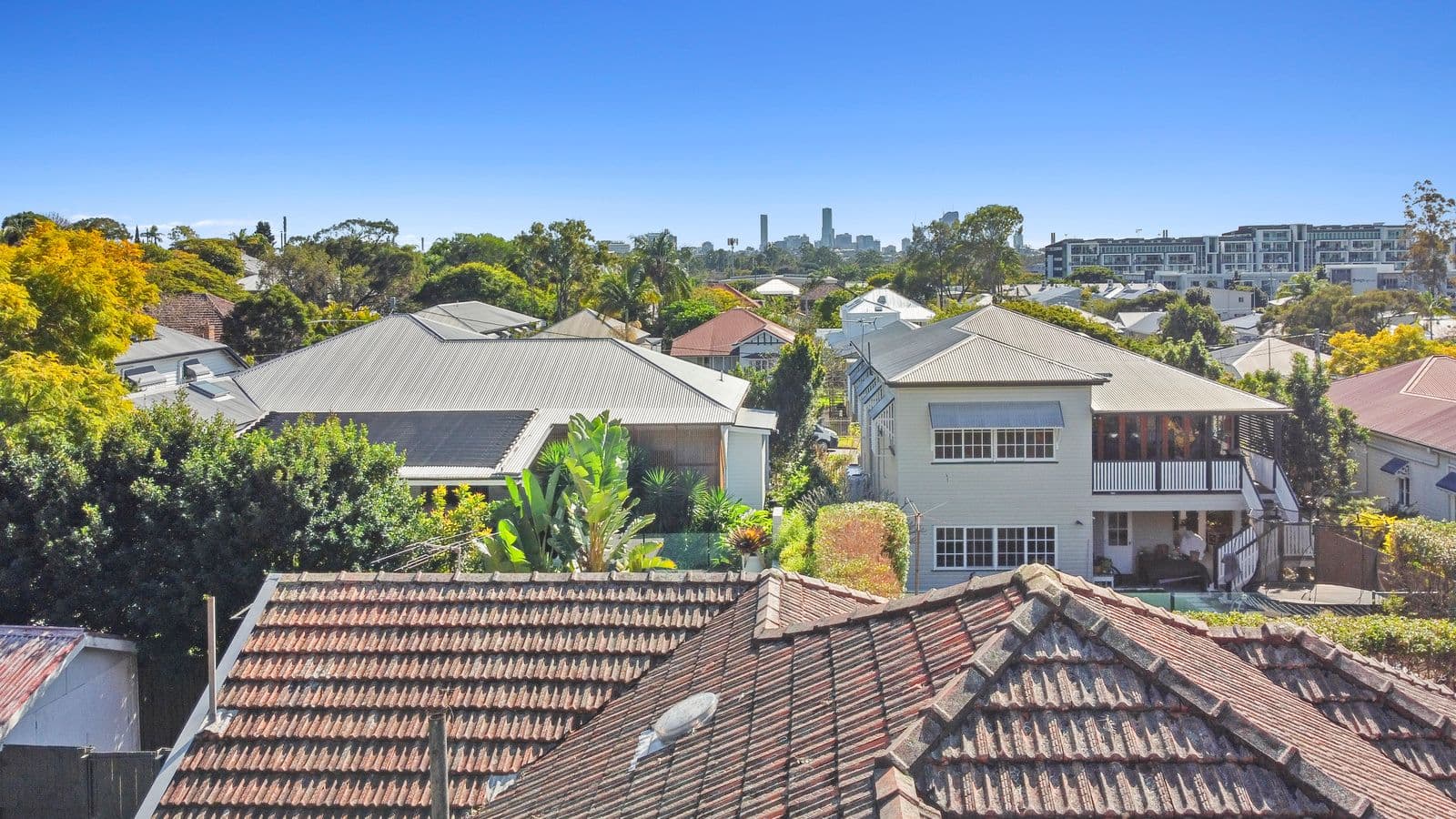 38 Grimes Street, Yeronga QLD 4104, Yeronga - Thumbnail 2