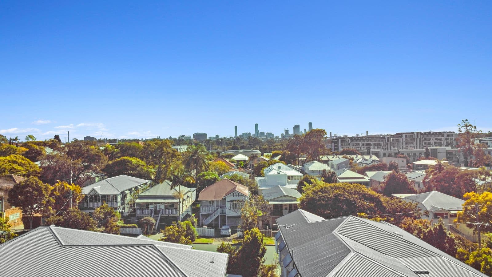38 Grimes Street, Yeronga QLD 4104, Yeronga - Thumbnail 6