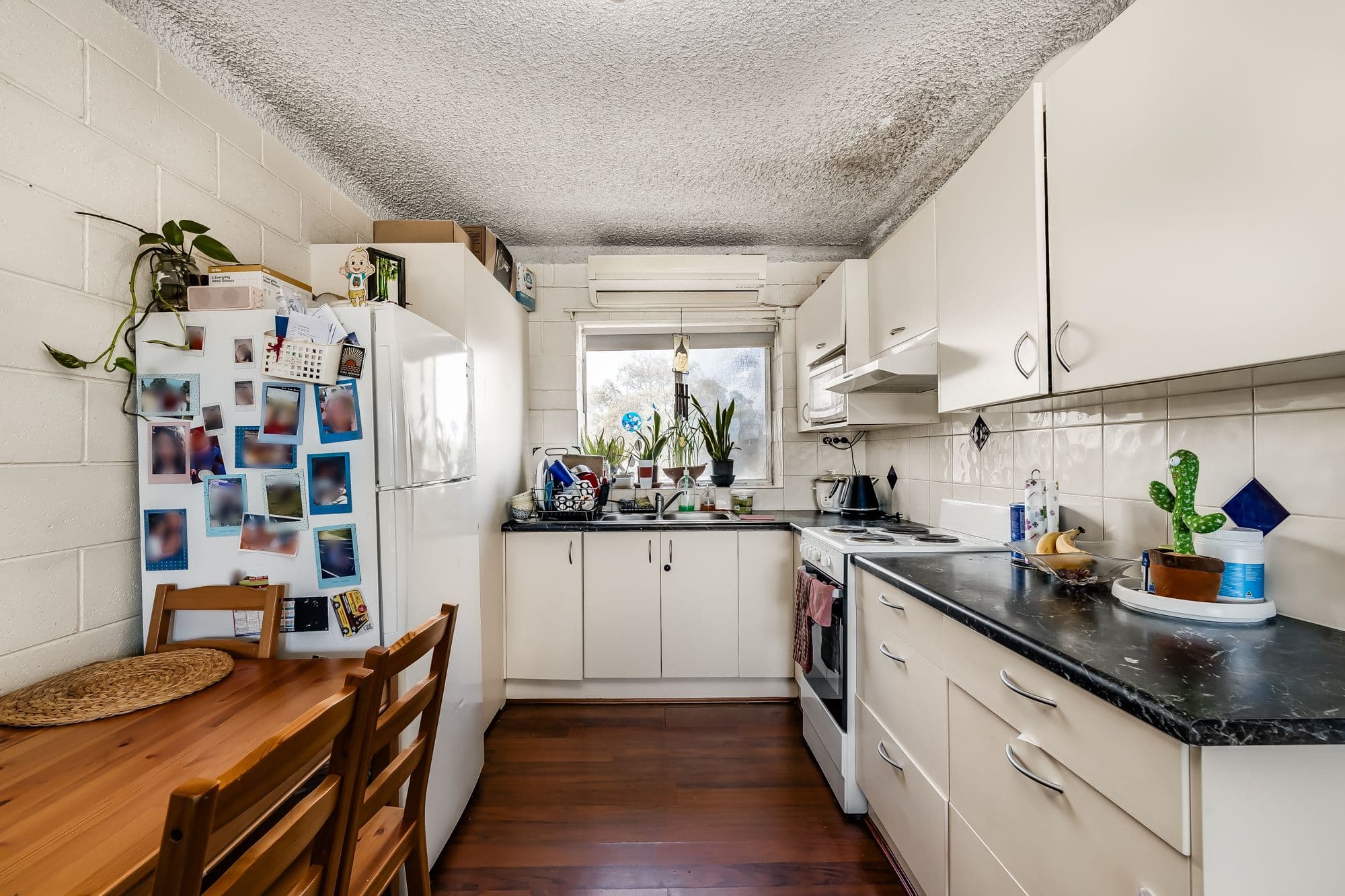 557 Cross Road, Plympton SA 5038, Plympton - Thumbnail 4