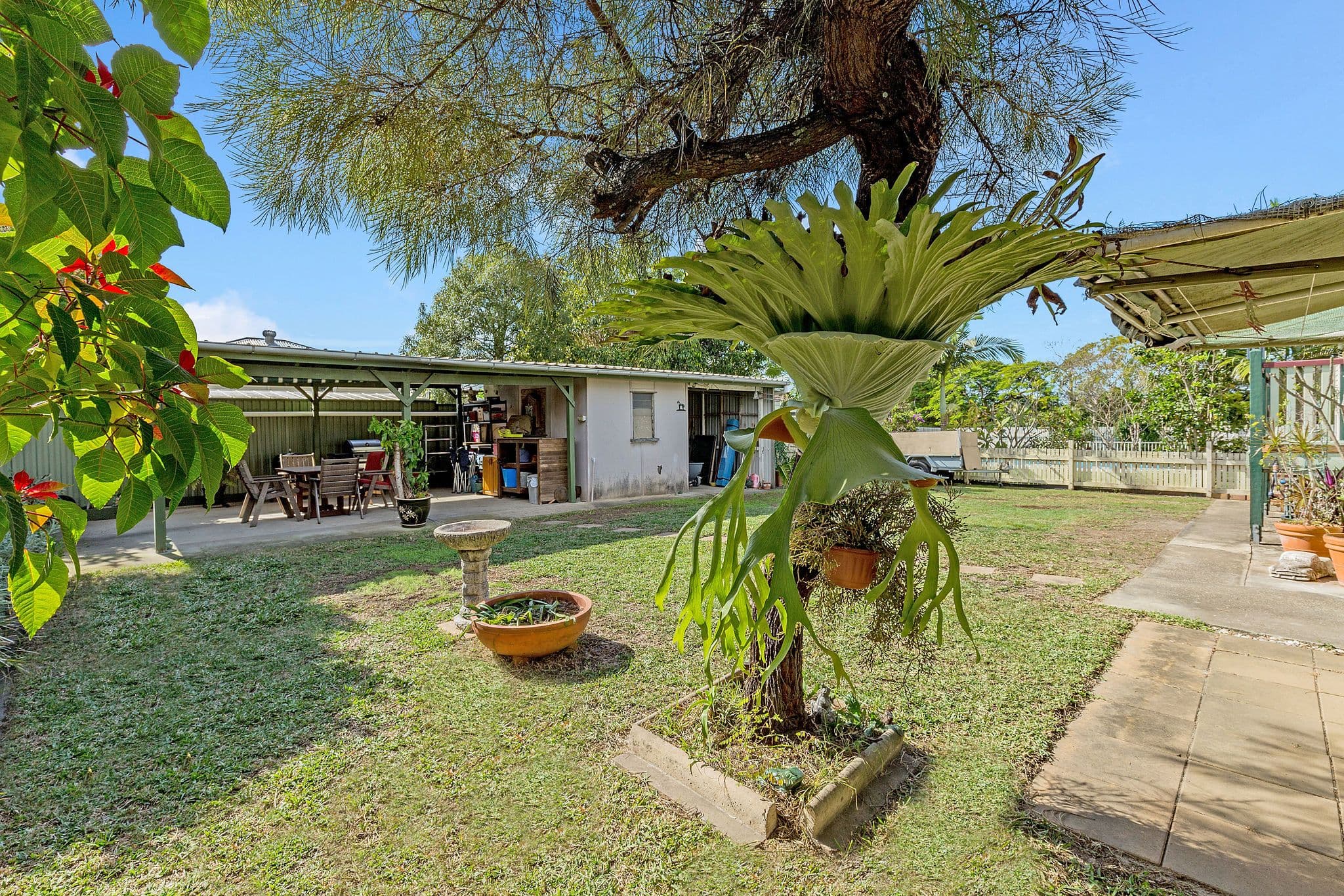 5 Handcroft Street, Wavell Heights QLD 4012, Wavell Heights - Thumbnail 3