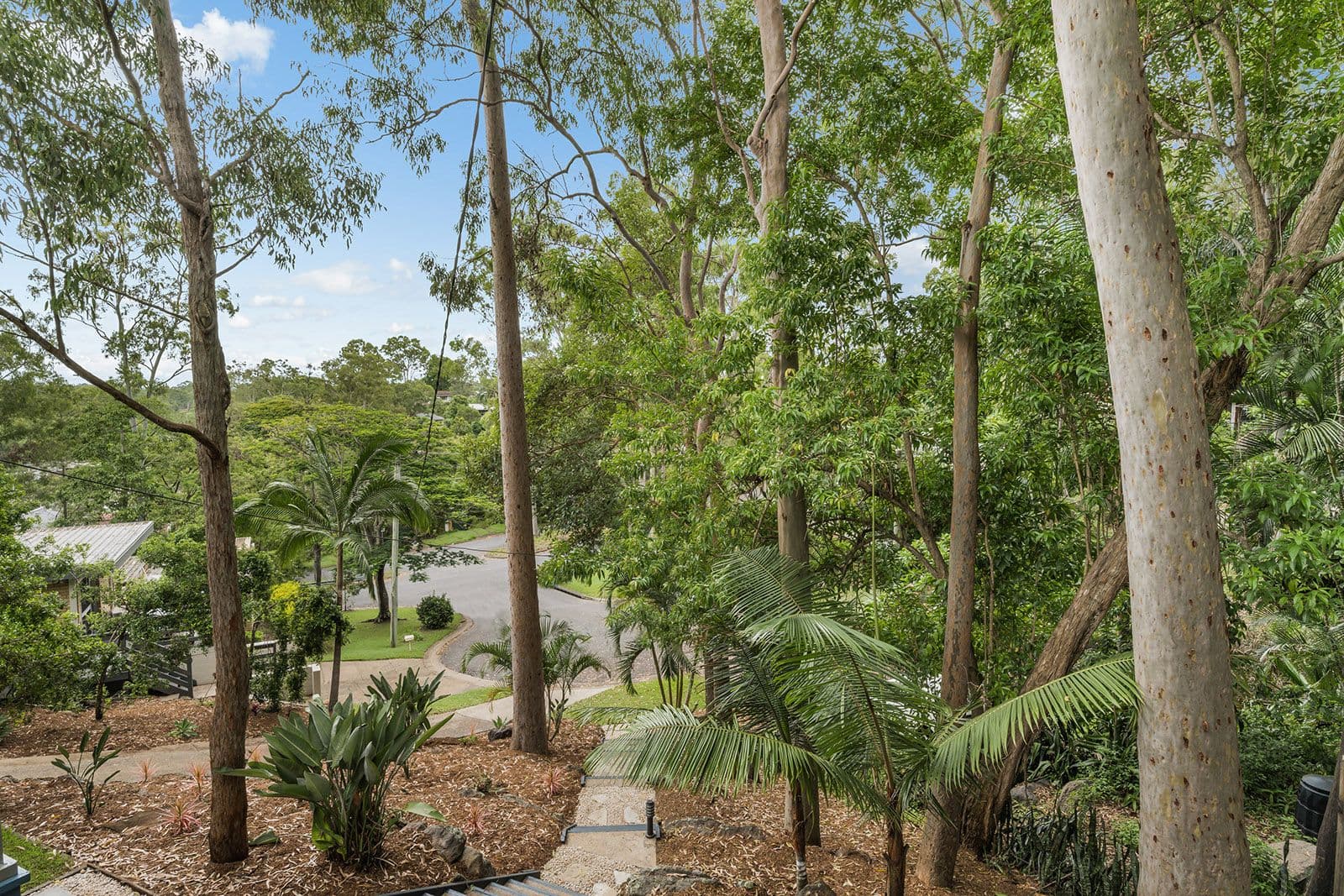 3 Apera Court, Kenmore QLD 4069, Kenmore - Thumbnail 8