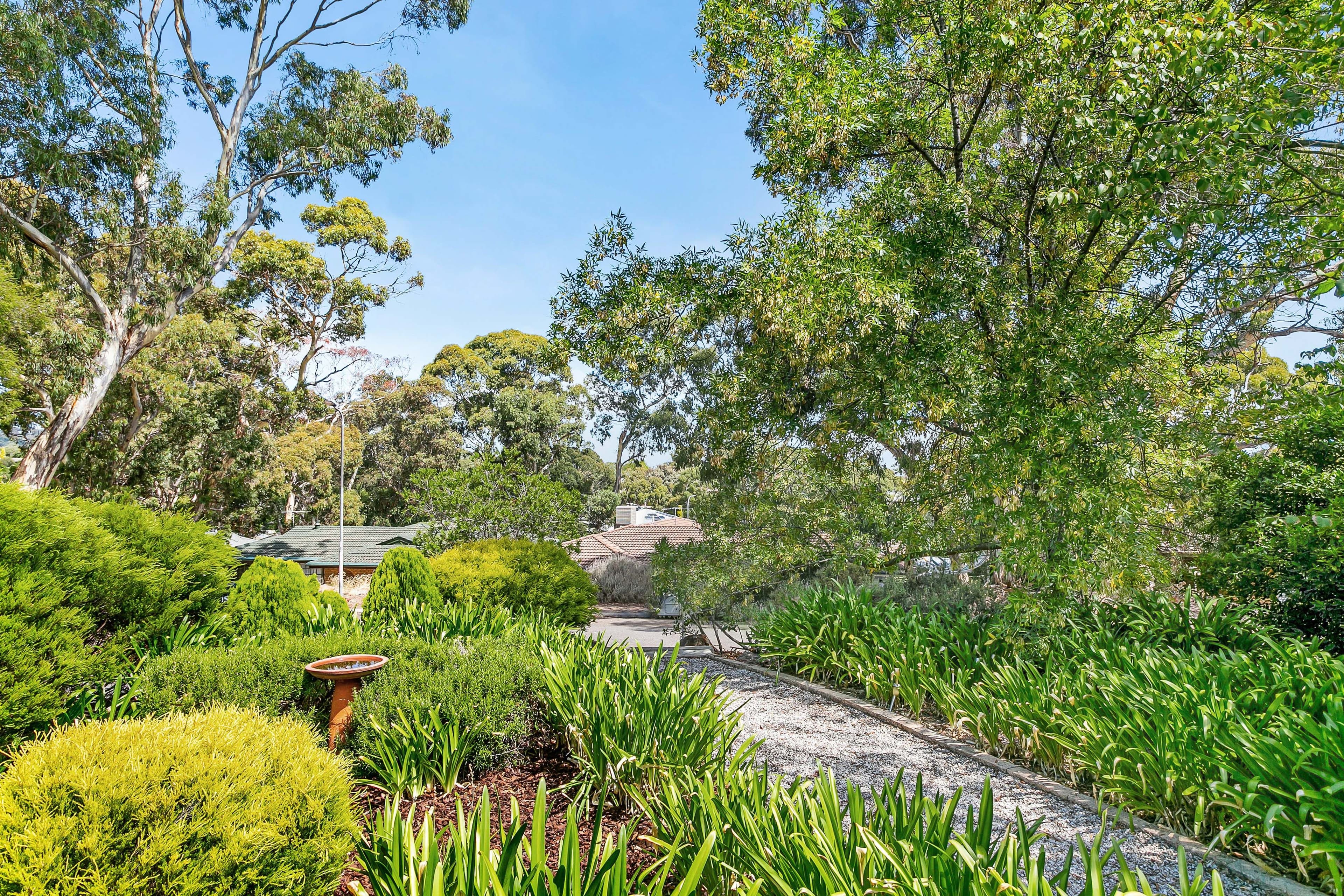 15 Sheoak Crescent, Aberfoyle Park SA 5159, Aberfoyle Park - Thumbnail 2