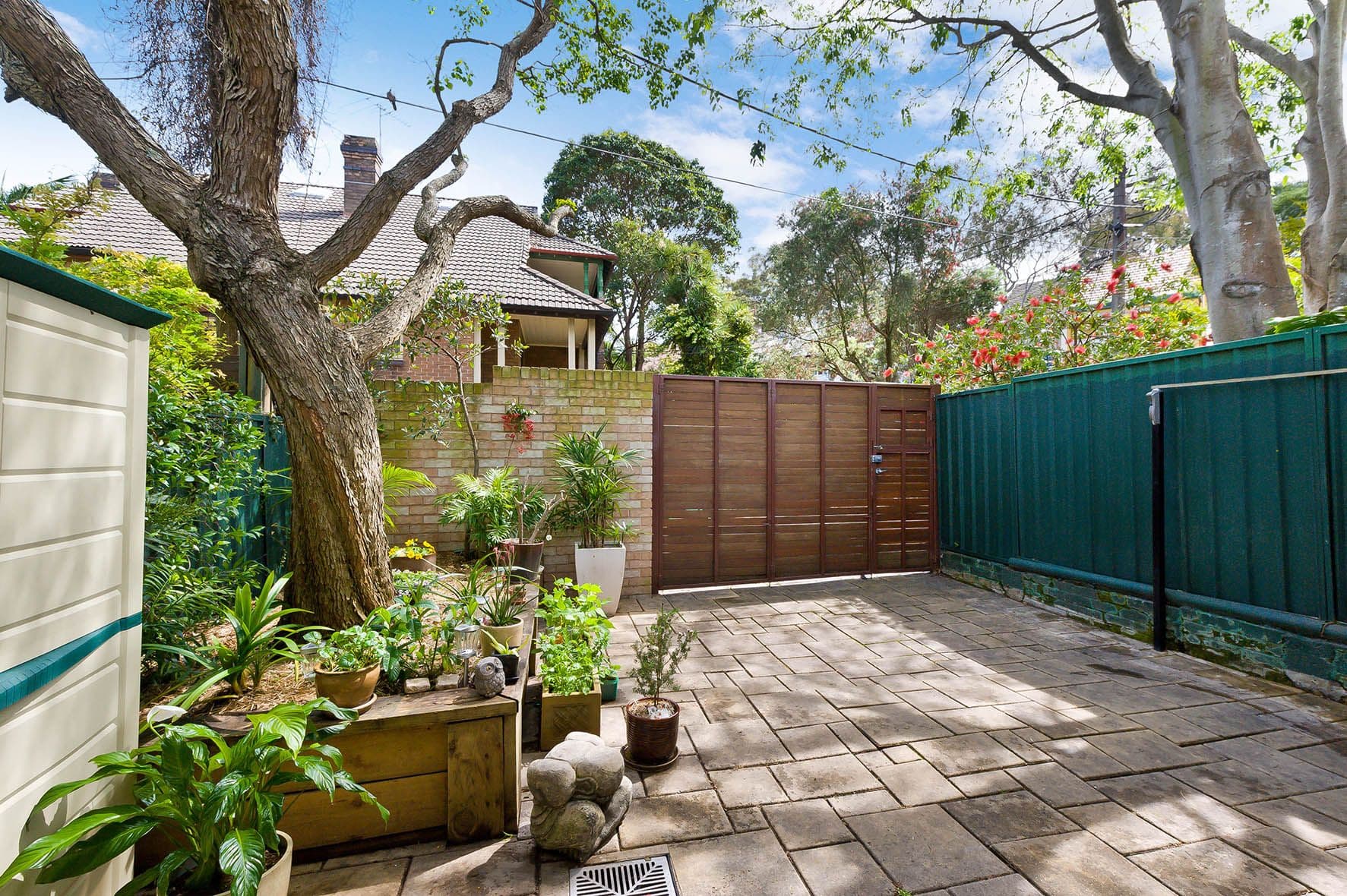 64 Brighton Street, Petersham - Thumbnail 7