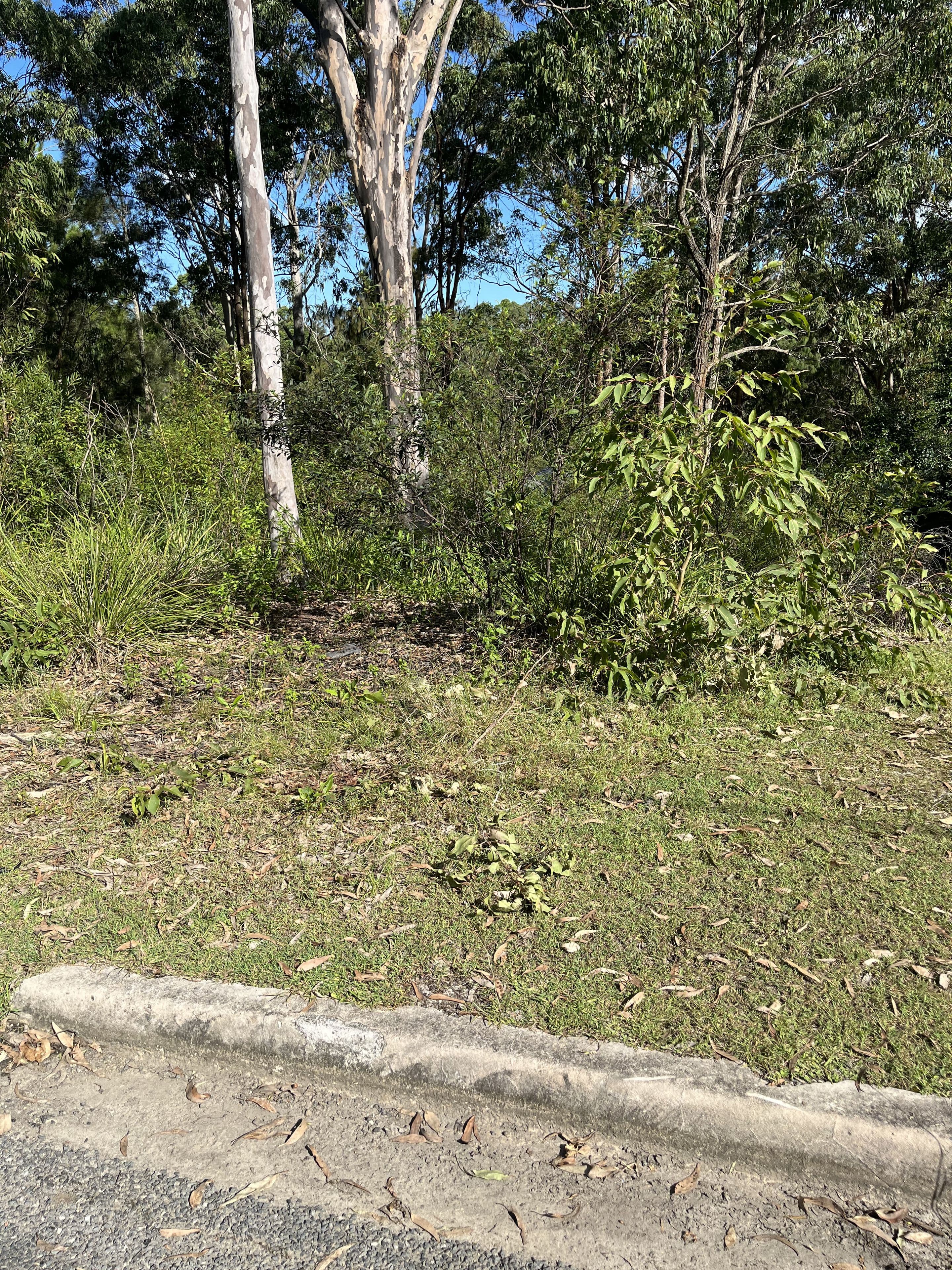 55 Curlew Crescent, Nerong NSW 2423, Nerong - Thumbnail 3