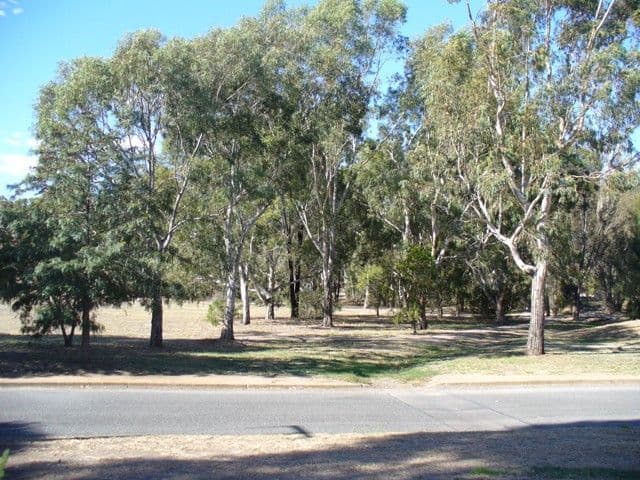1 Phoenix Avenue, CLARE SA 5453, Clare - Thumbnail 6