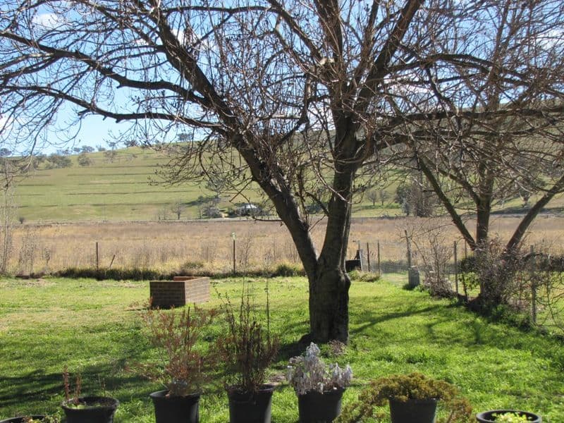 37 Bathurst Street, PERTHVILLE NSW 2795, Perthville - Thumbnail 5