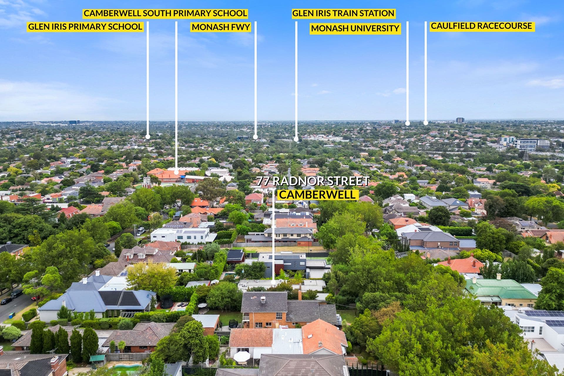 77 Radnor Street, Camberwell VIC 3124, Camberwell - Thumbnail 3