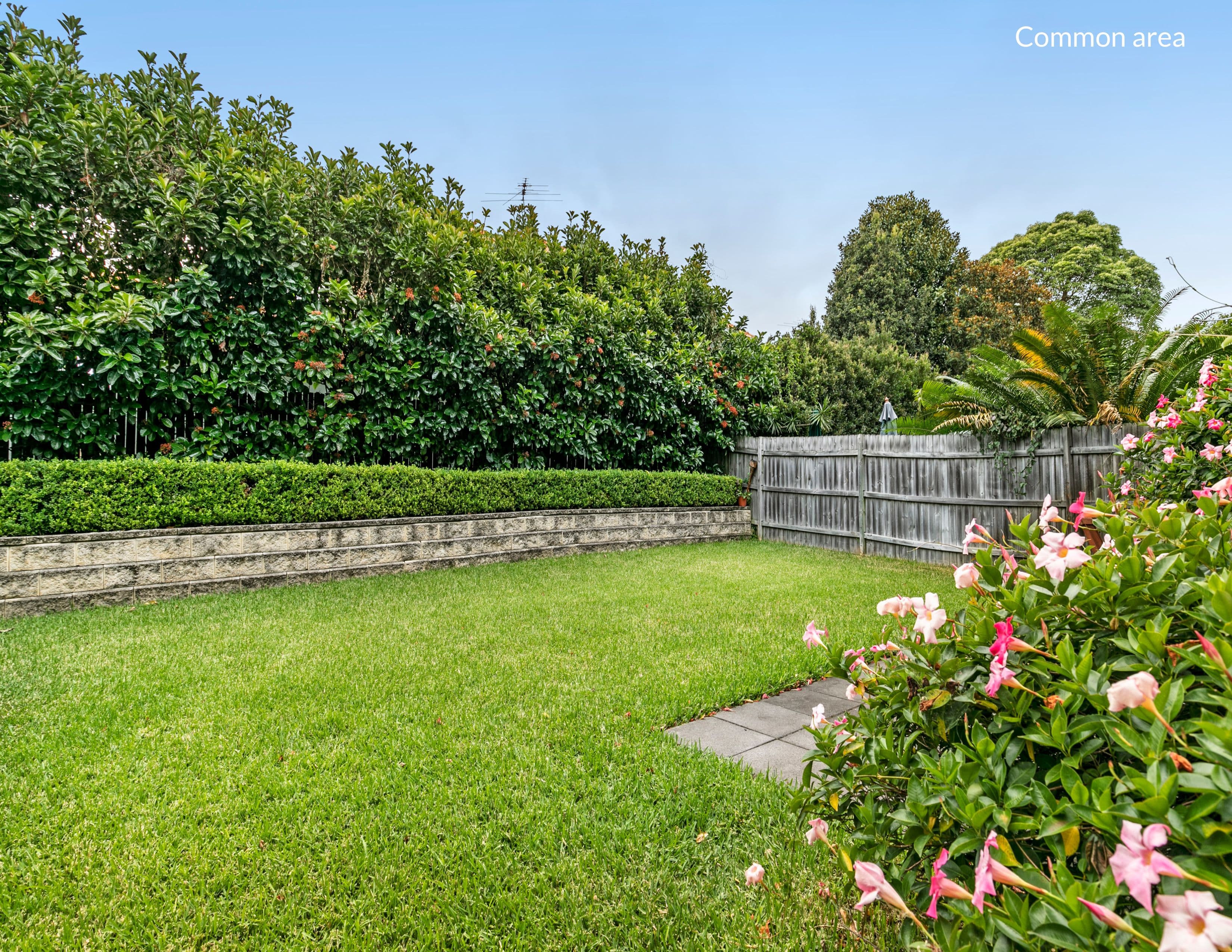 43 Young Street, Cremorne NSW 2090, Cremorne - Thumbnail 8