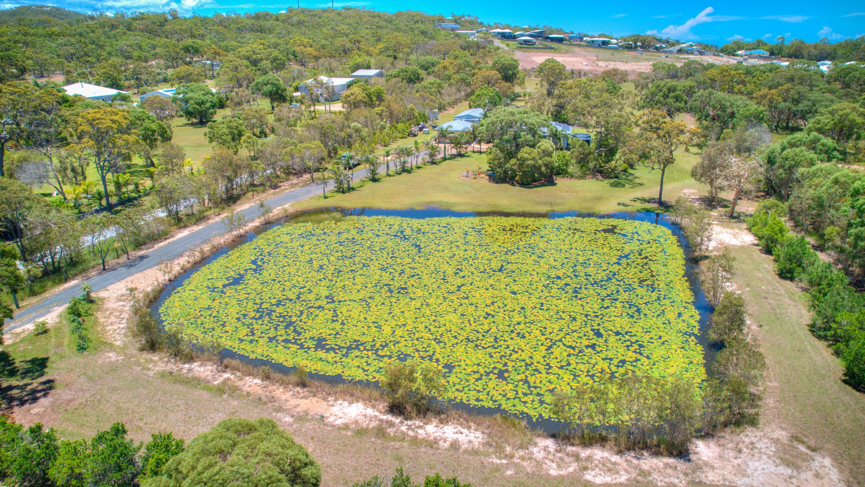147 Bicentennial Drive, Agnes Water QLD 4677, Agnes Water - Thumbnail 4